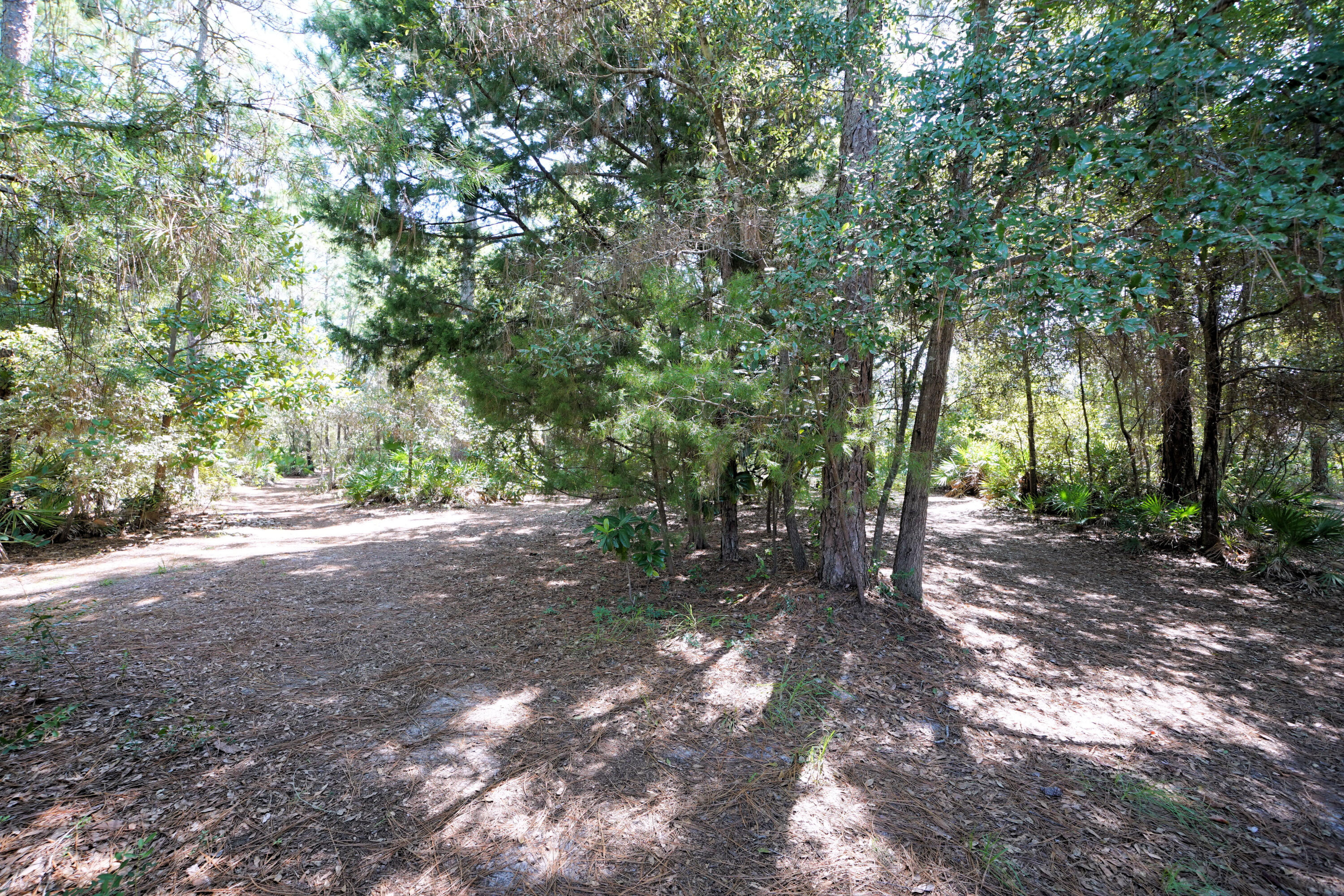 RAINTREE ESTATES - Residential