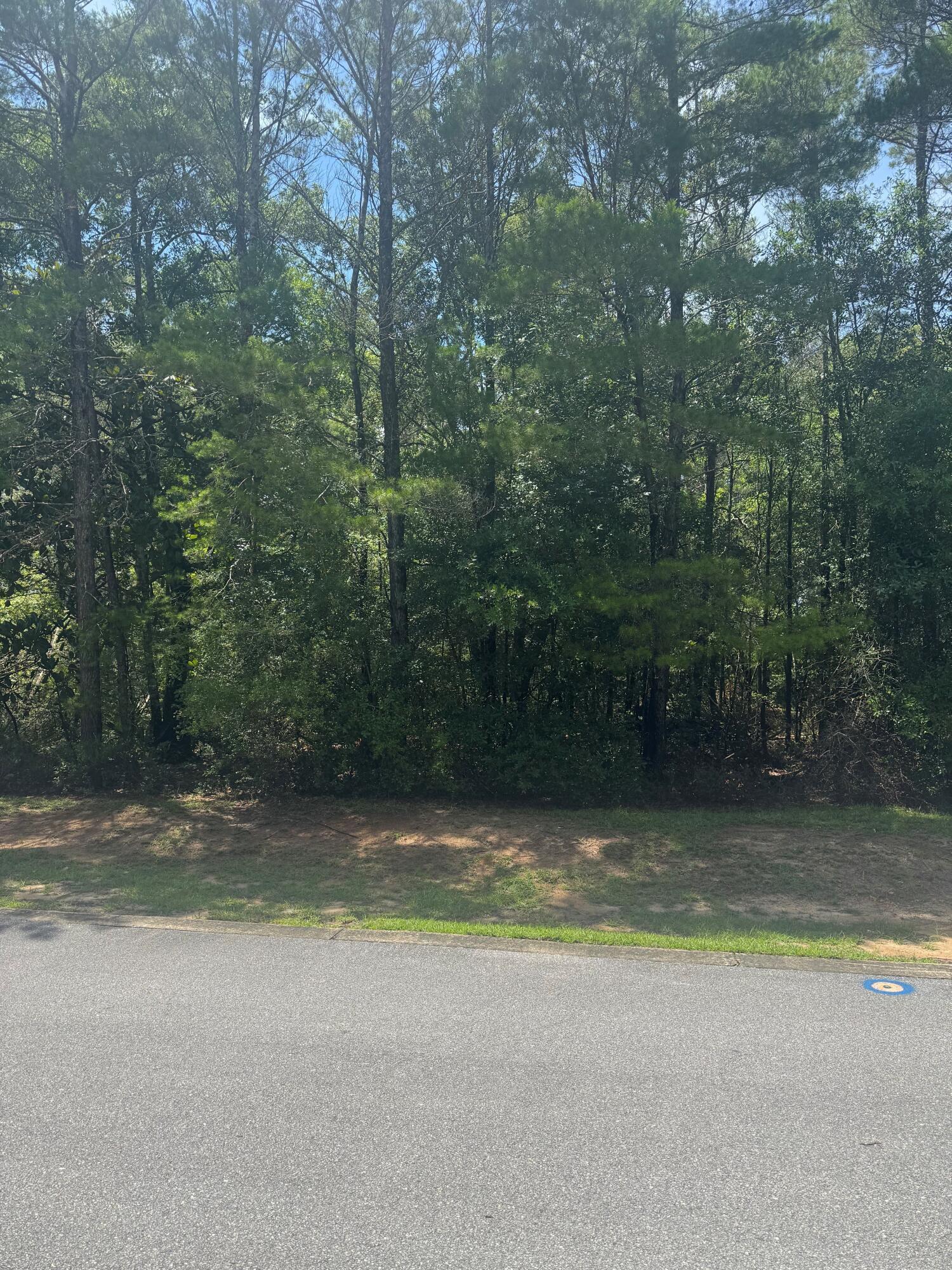 MAGNOLIA BAY ESTATES - Residential