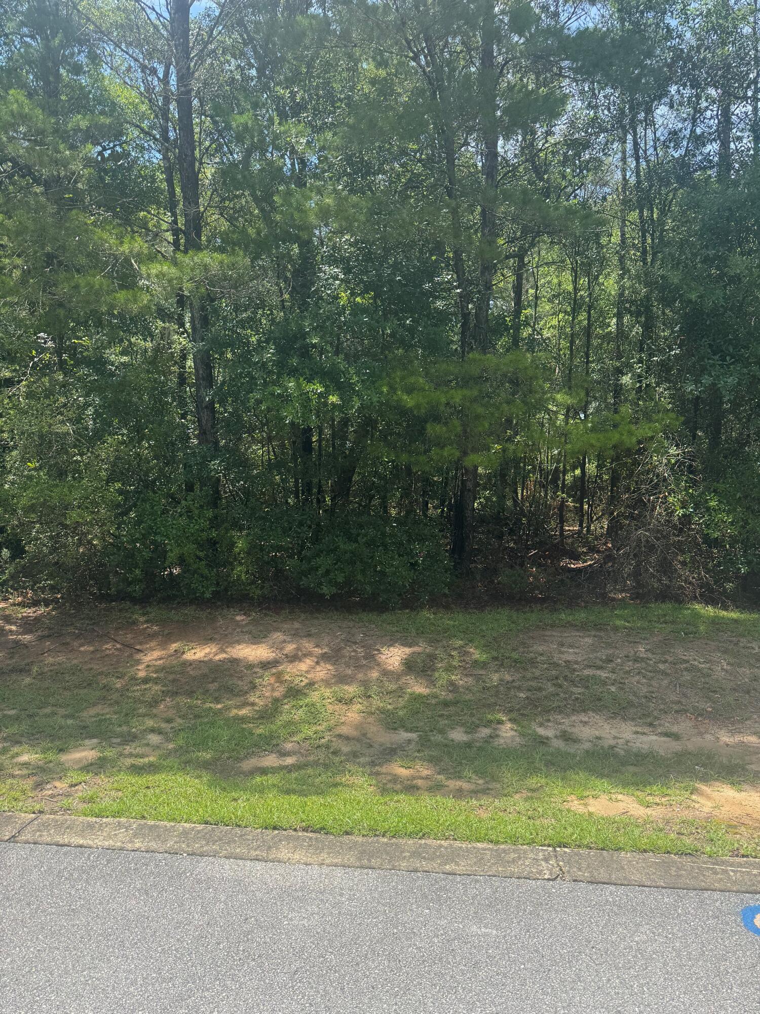 MAGNOLIA BAY ESTATES - Residential