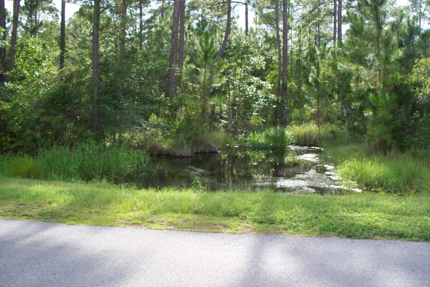 OWNER FINANCING AVAILABLE -Wooded lot to build your dream home located by Hogtown Bayou off of Choctawhatchee Bay in Santa Rosa Beach, FL. Santa Rosa Beach was recently named as one of Travel + Leisure's Top 5 Favorite Towns in America! This parcel is near Charles Cessna Landing Boat Ramp featuring a Children's Park, Boat launch, fishing dock, picnic tables, and gazebos. You are minutes away from the beautiful white sandy beaches of South Walton, shopping, banking, schools, and more. Looking for more land? Additional acreage can be purchased. All measurements to be verified by buyer.