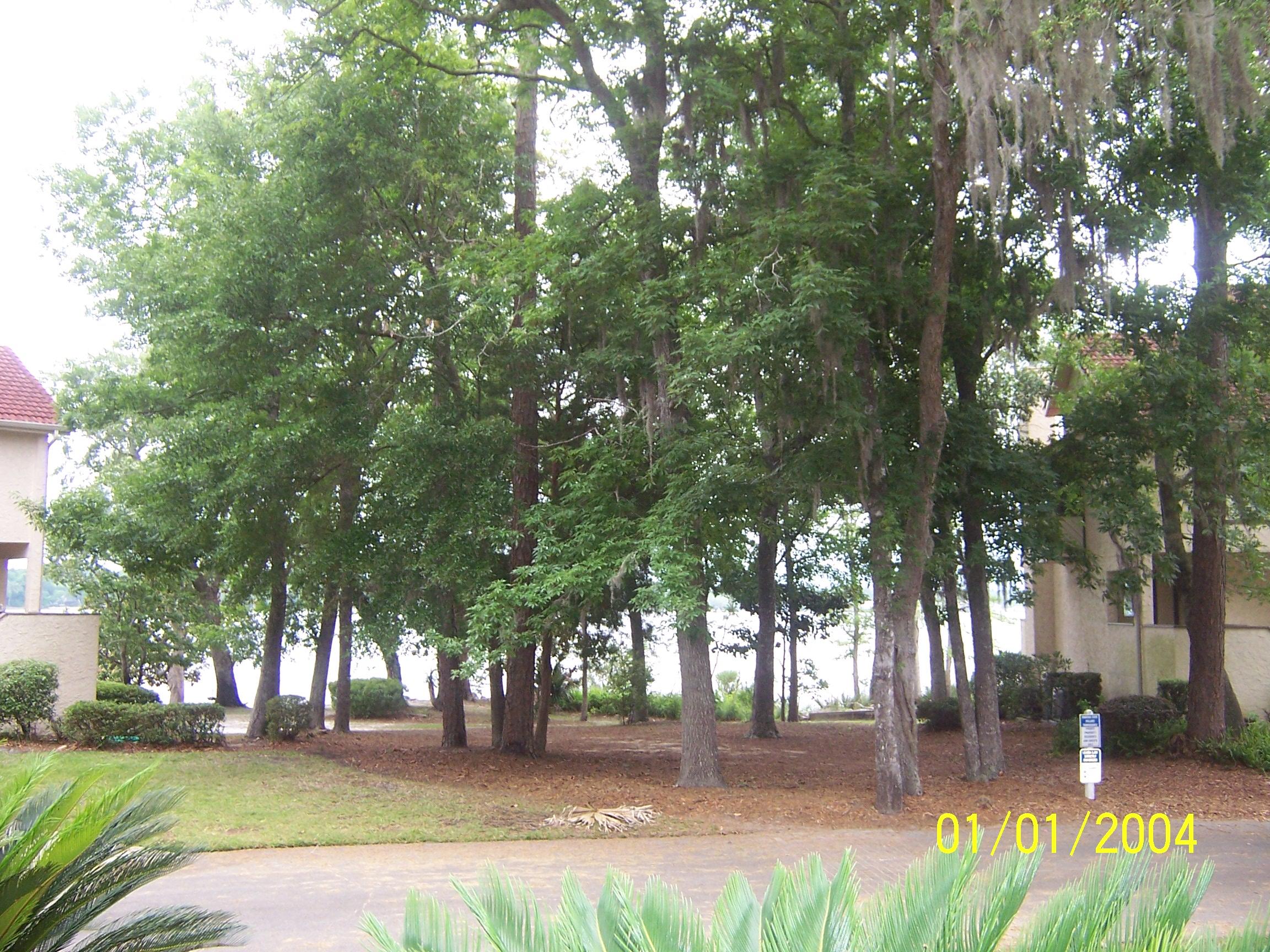 MARINA COVE VILLAGE PH 3 - Residential