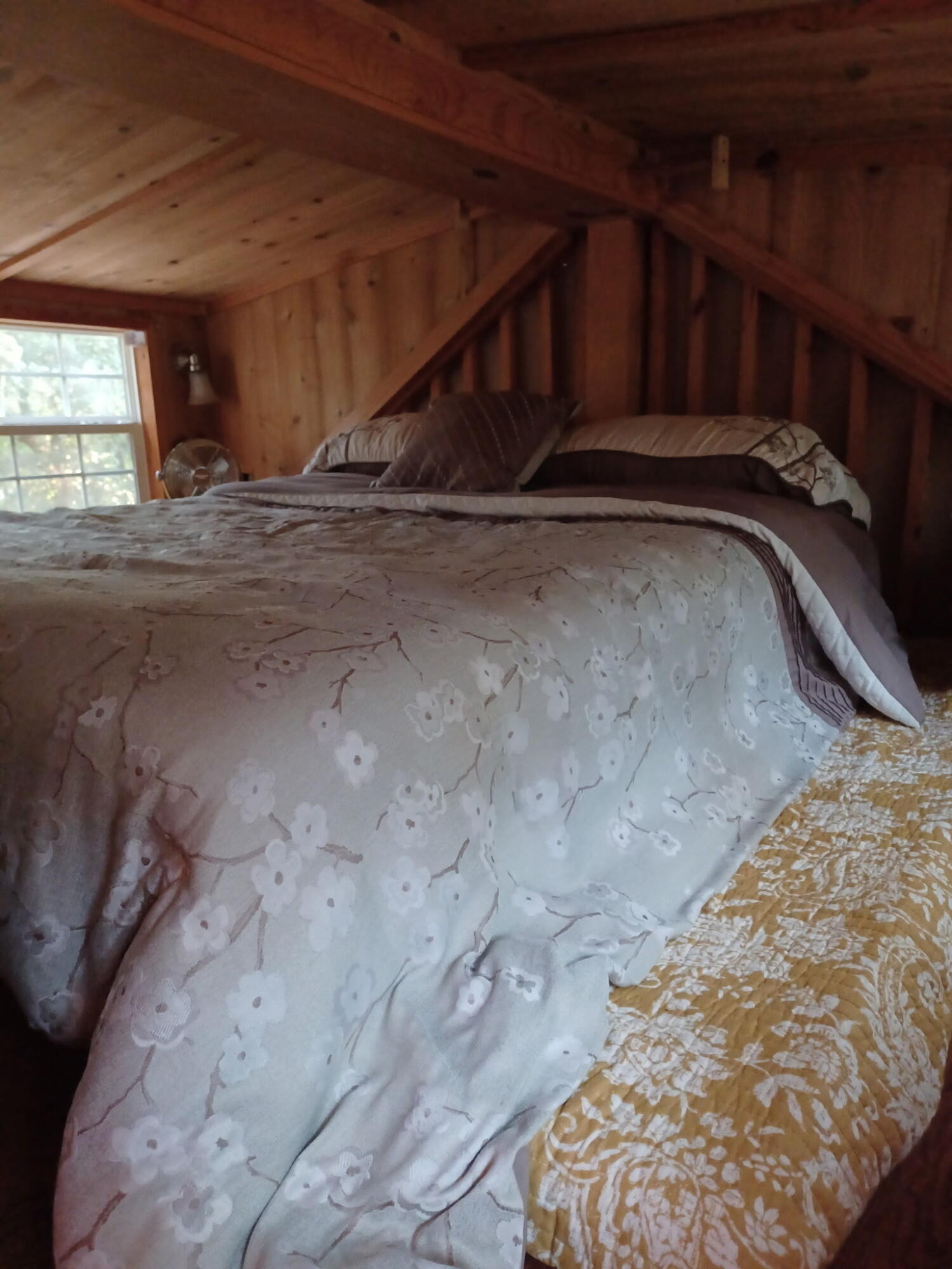 155 Madge Lane - Residential