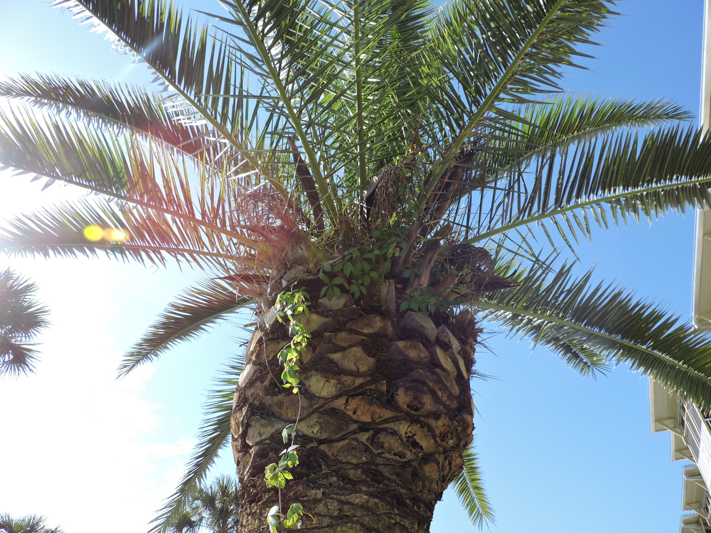 SEAGROVE HIGHLANDS - Residential