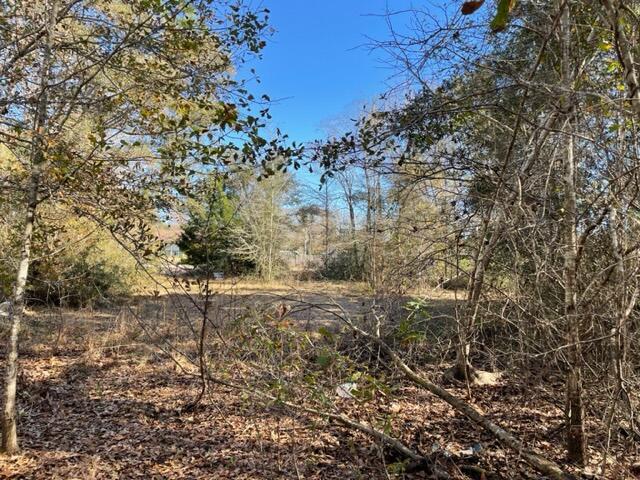A perfectly level lot for your new home or mobile home. Country feel with the city amenities nearby - within 30 minutes to Pensacola or 45 minutes to Navarre Beach! Easy access to Hwy 90 and I-10.