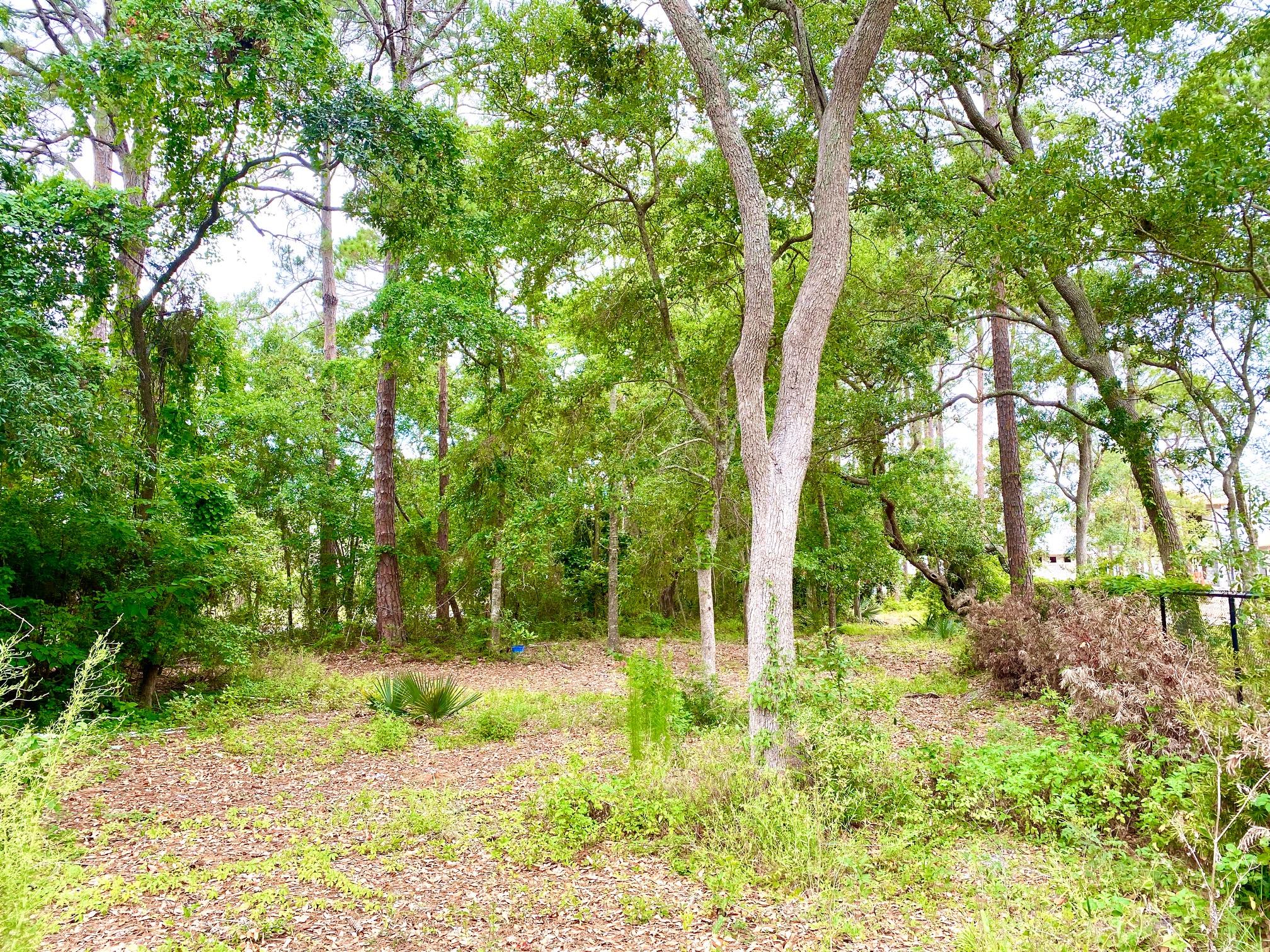 DRIFTWOOD ESTATES - Land