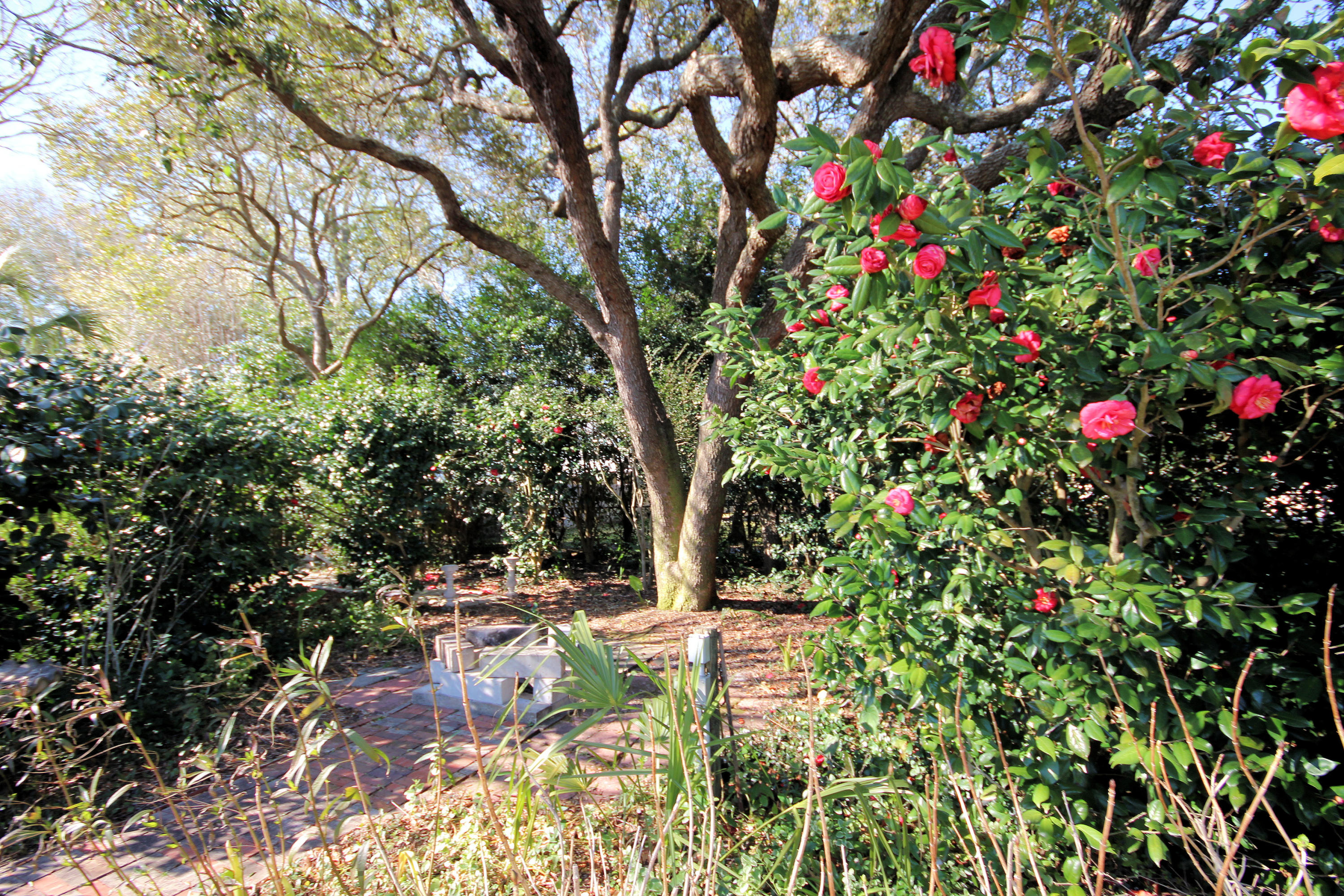 BAYOU POQUITO - Residential