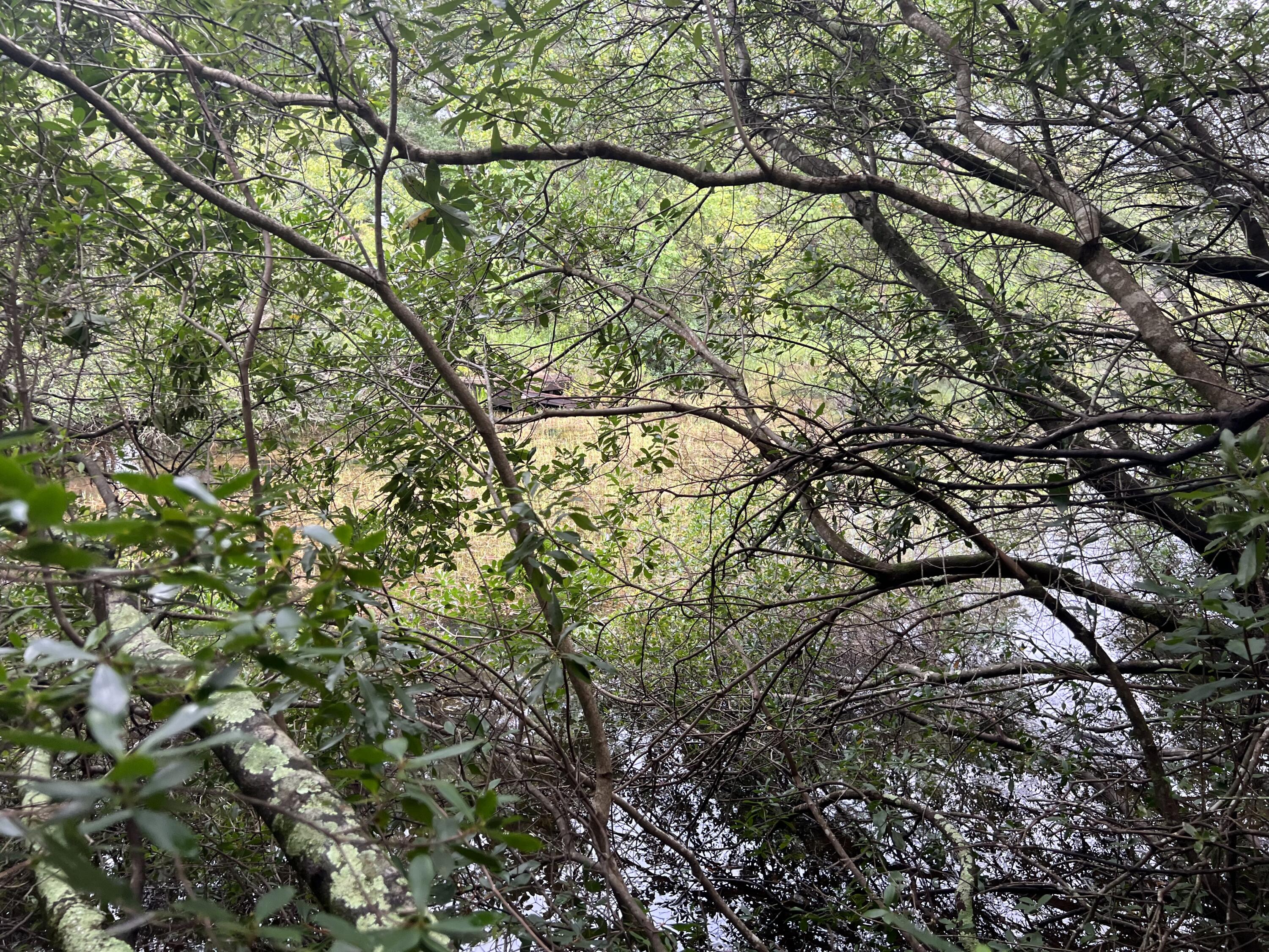 WHISPERING LAKES ESTATES - Land