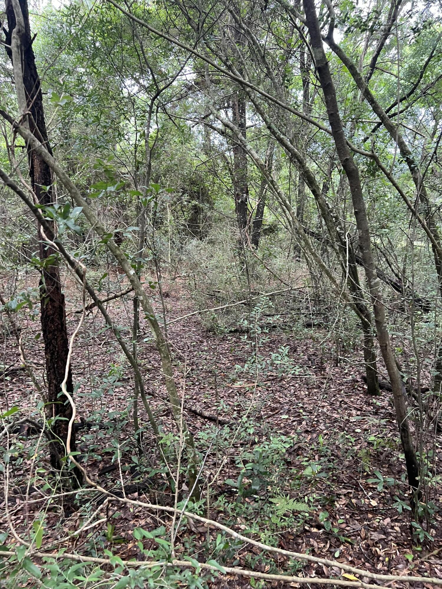 WHISPERING LAKES ESTATES - Land