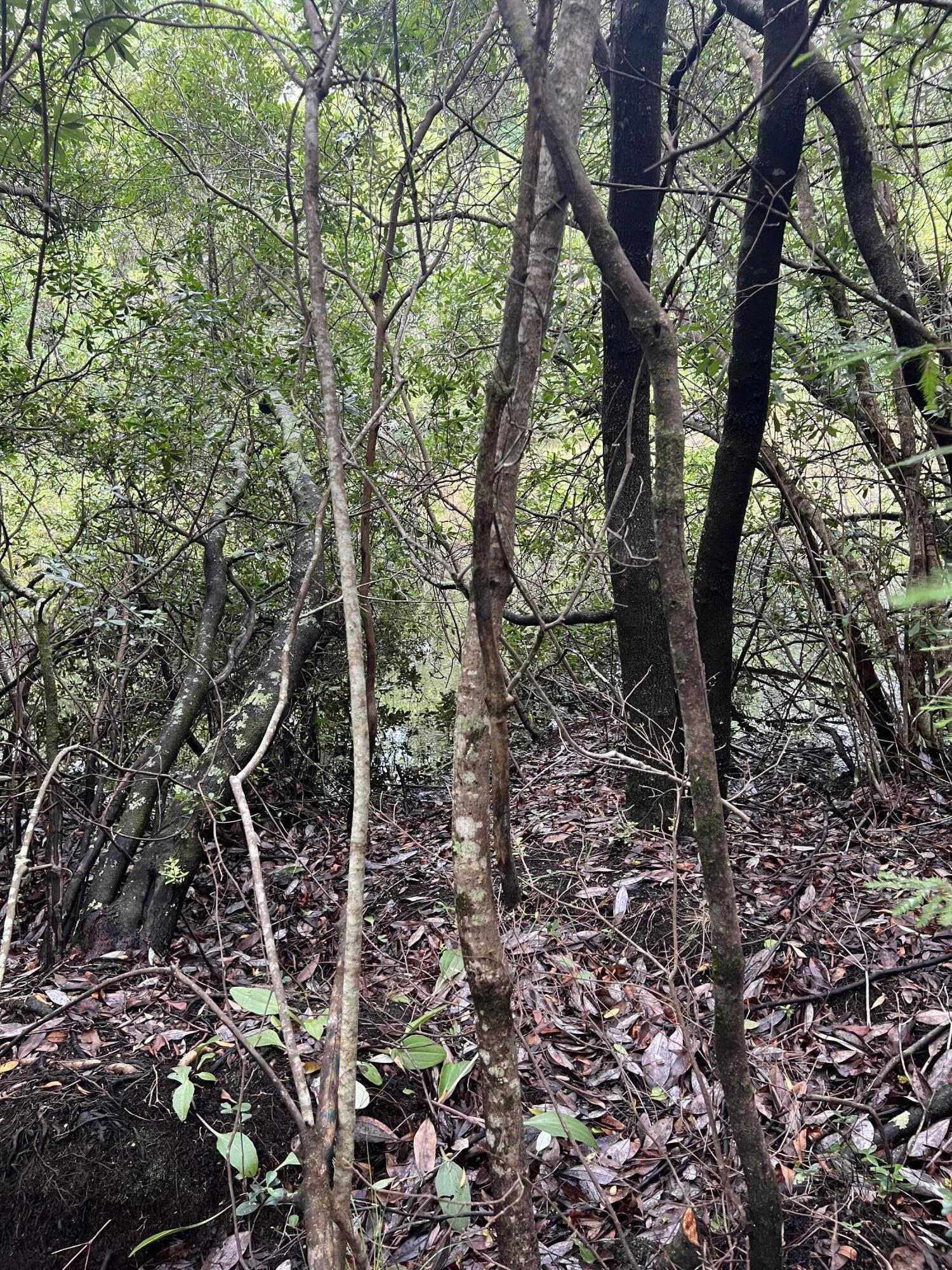 WHISPERING LAKES ESTATES - Land