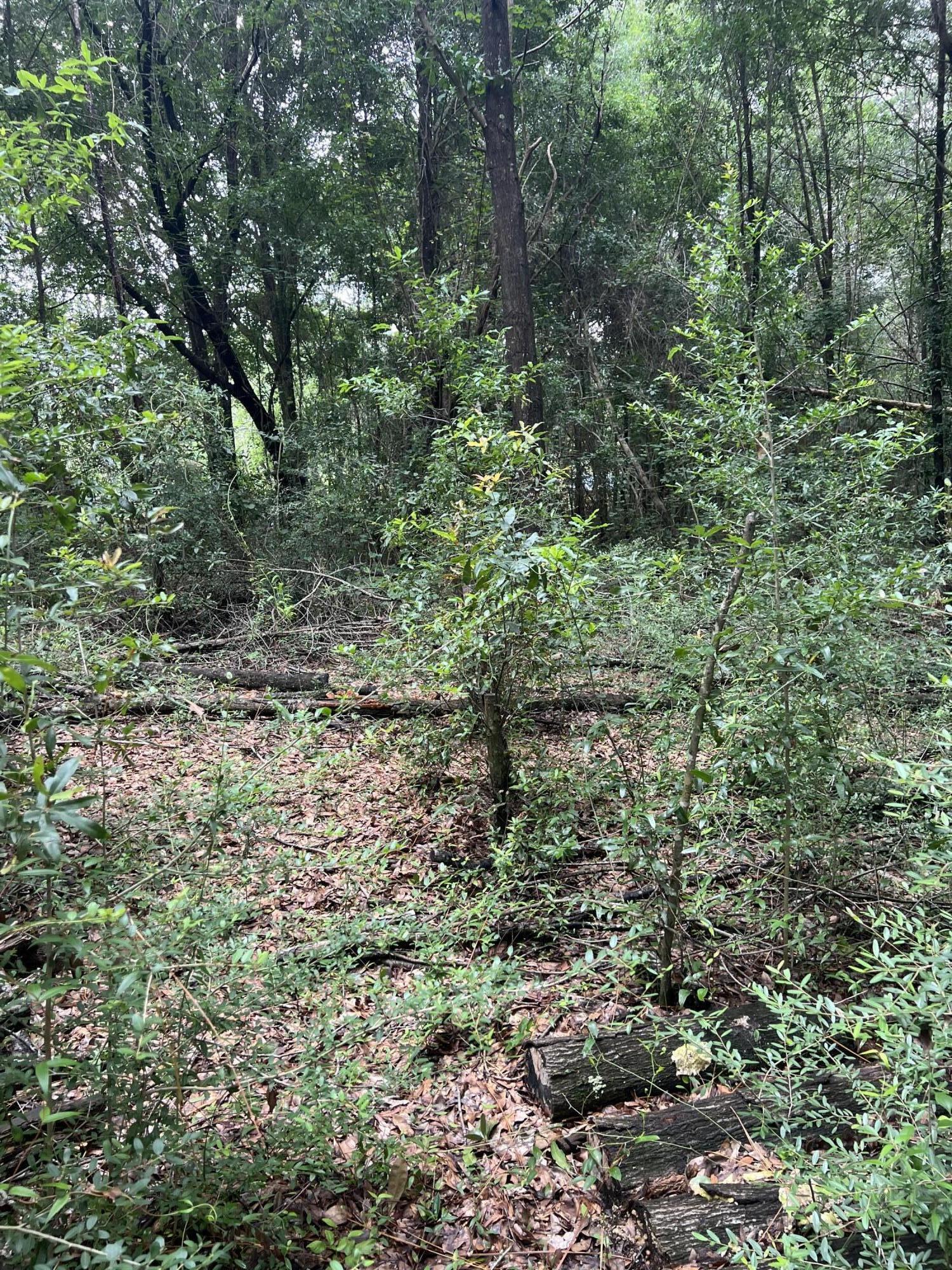 This one 1.28 acre woded lot is perfect to clear a portion for a house and cut a trail for access to the lake. Utilitiy hook ups available water and electricity.