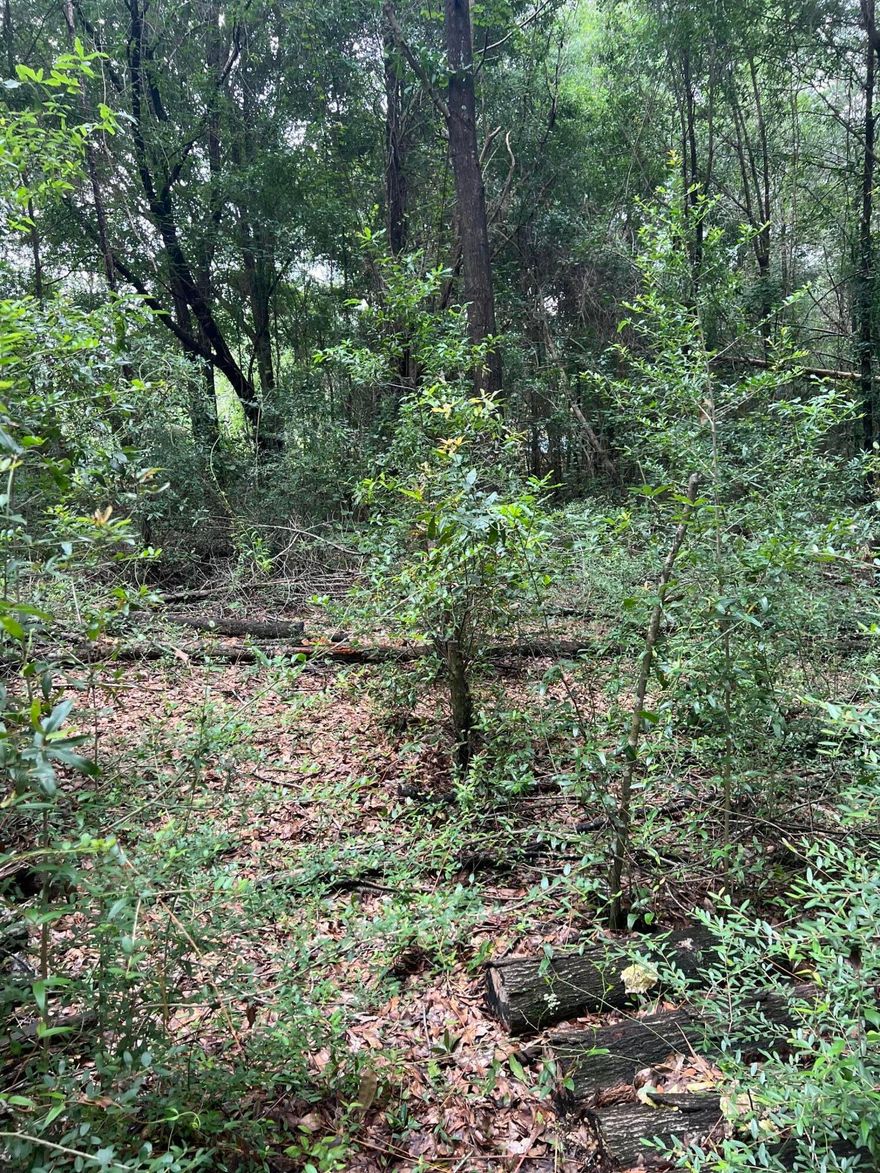 This one 1.28 acre woded lot is perfect to clear a portion for a house and cut a trail for access to the lake. Utilitiy hook ups available water and electricity.
