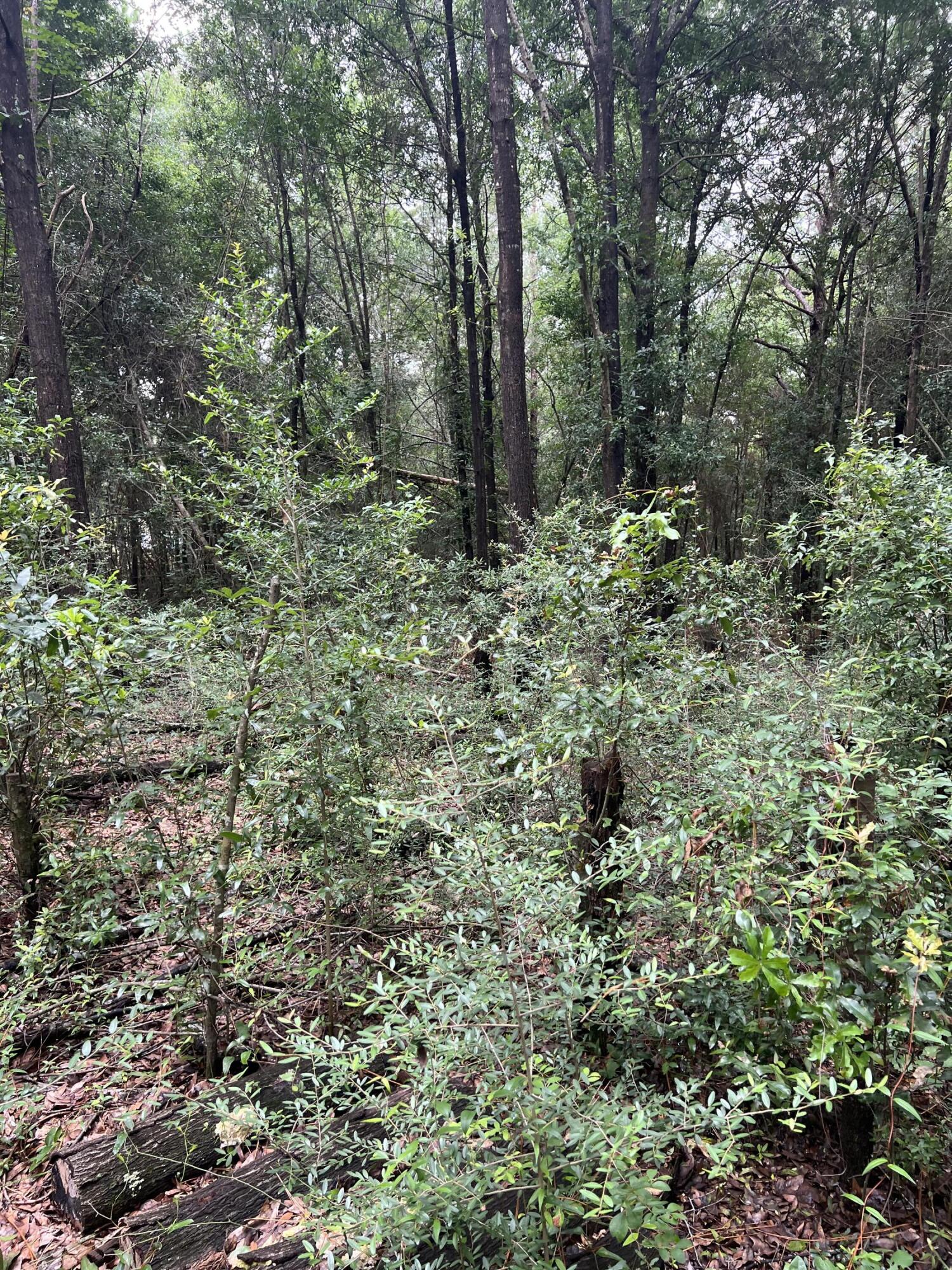 WHISPERING LAKES ESTATES - Land