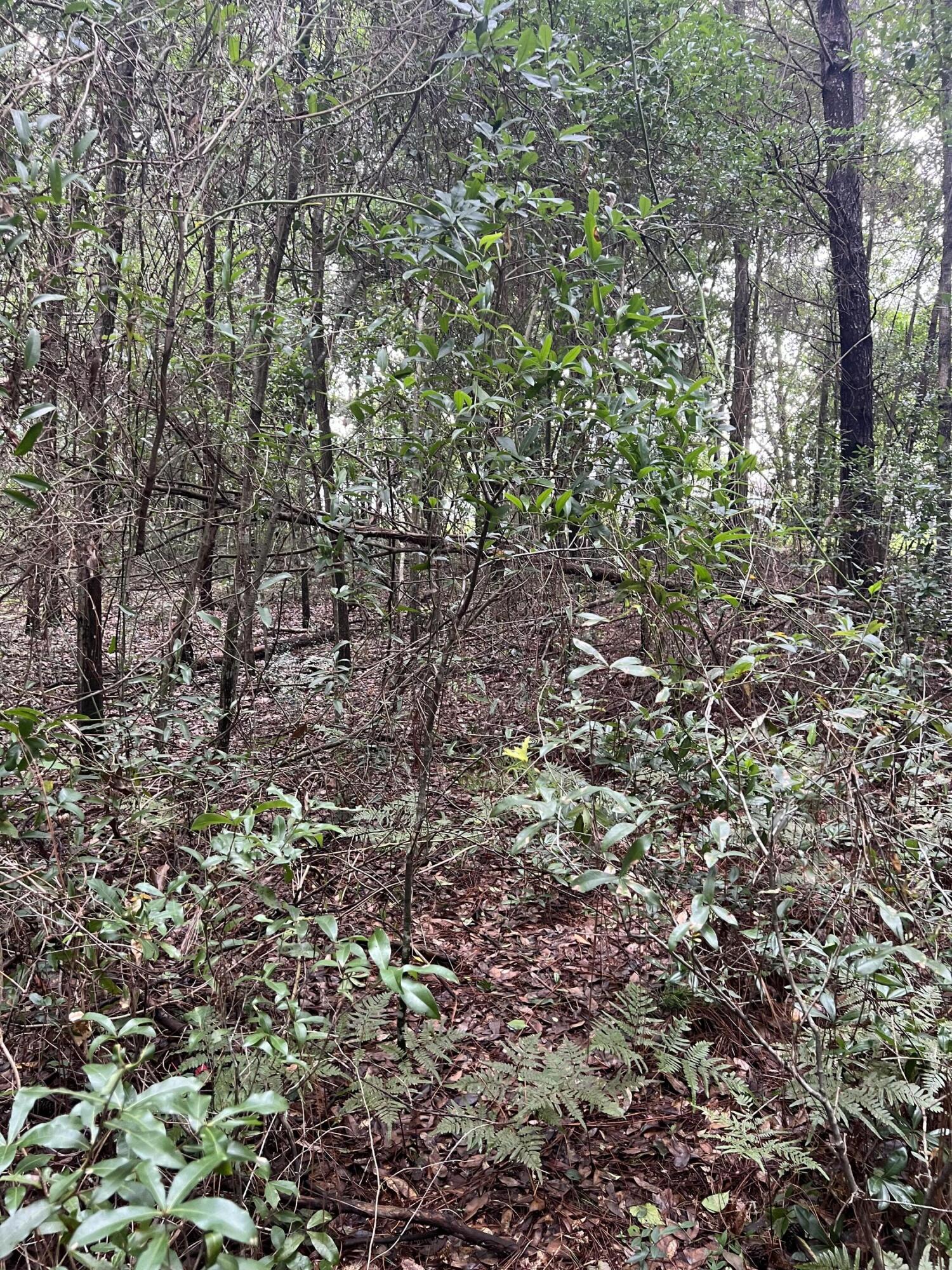 WHISPERING LAKES ESTATES - Land