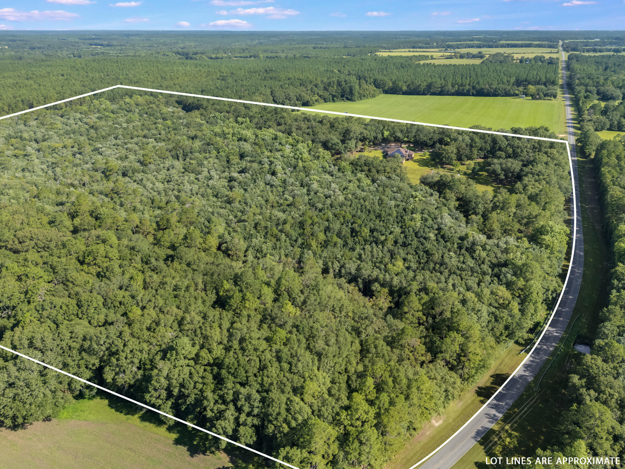 LAUREL HILL - Residential