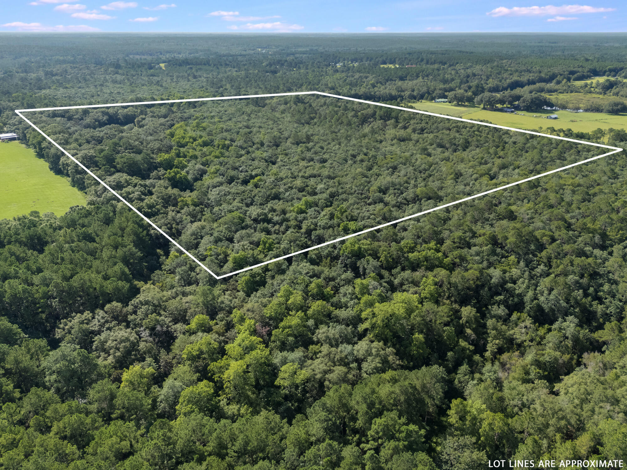 LAUREL HILL - Residential