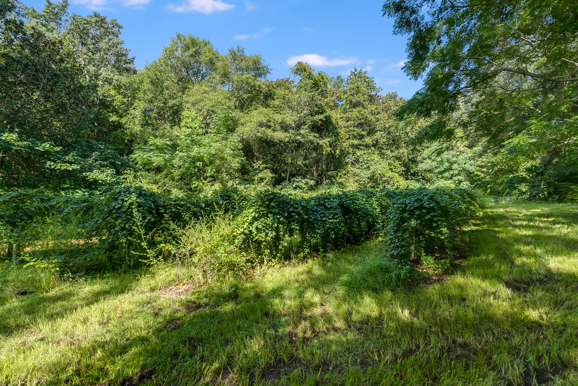 LAUREL HILL - Residential