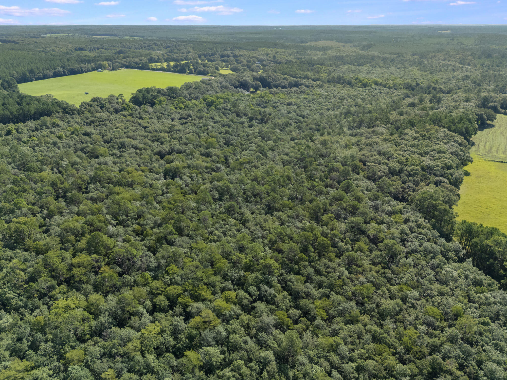 LAUREL HILL - Residential