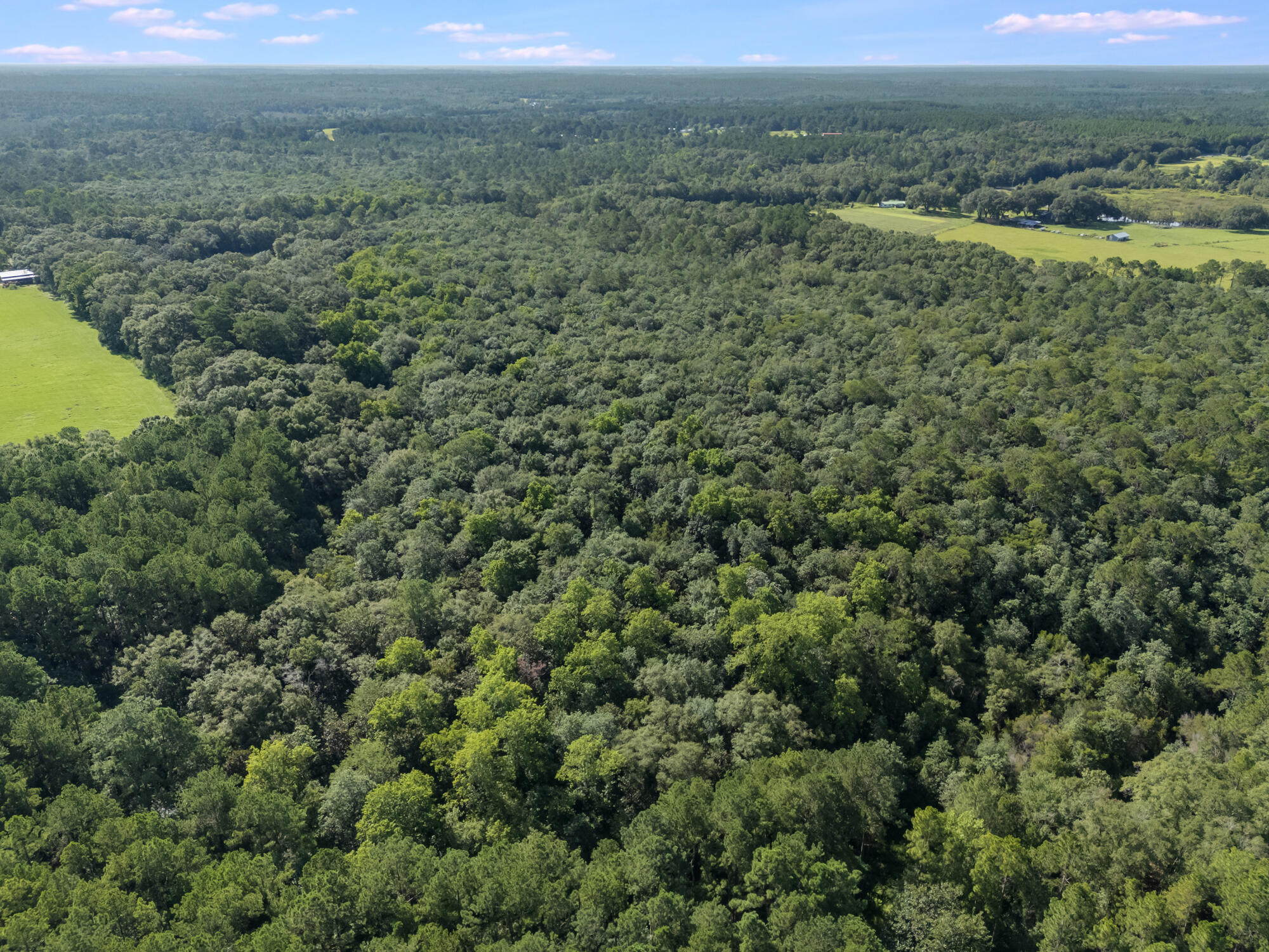 LAUREL HILL - Residential