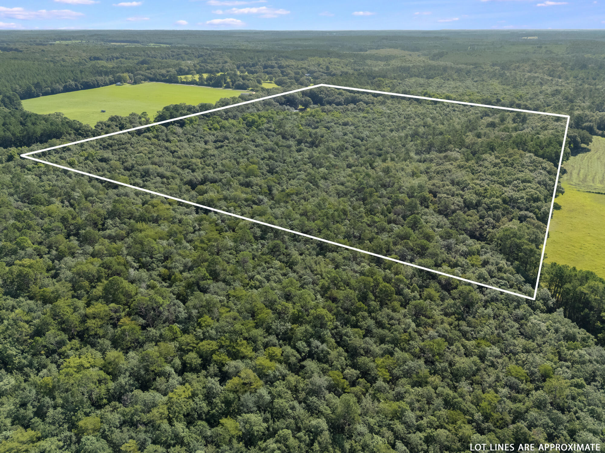 LAUREL HILL - Residential