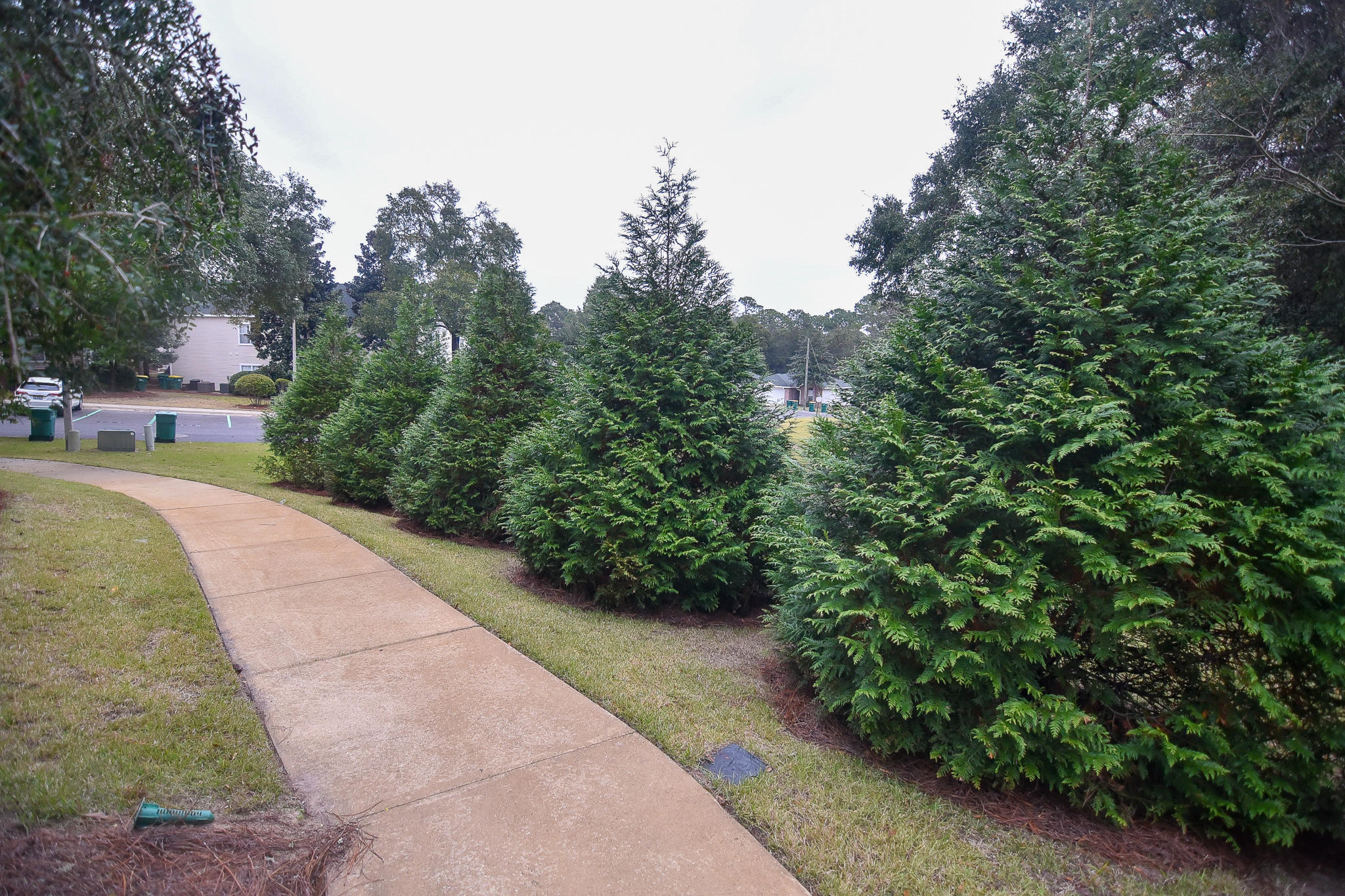 THE OAKS AT NICEVILLE - Residential