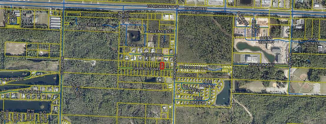 Great level lot south of Highway 98 just off Thompson Road. Quick access to all that South Walton has to offer. Buyer to confirm all that is needed to build.