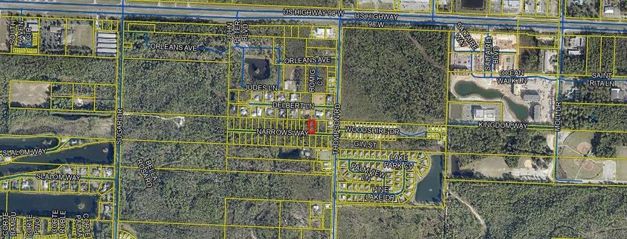 Great level lot south of Highway 98 just off Thompson Road. Quick access to all that South Walton has to offer. Buyer to confirm all that is needed to build.