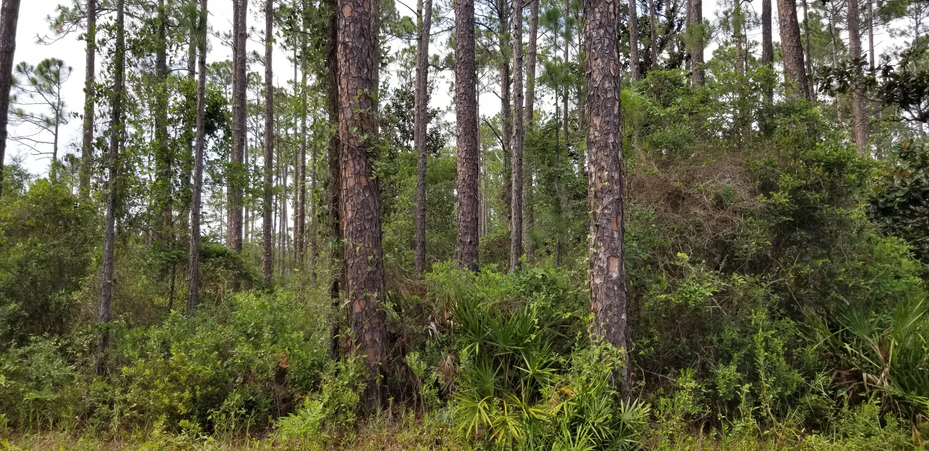 SANTA ROSA PLANTATION - Land