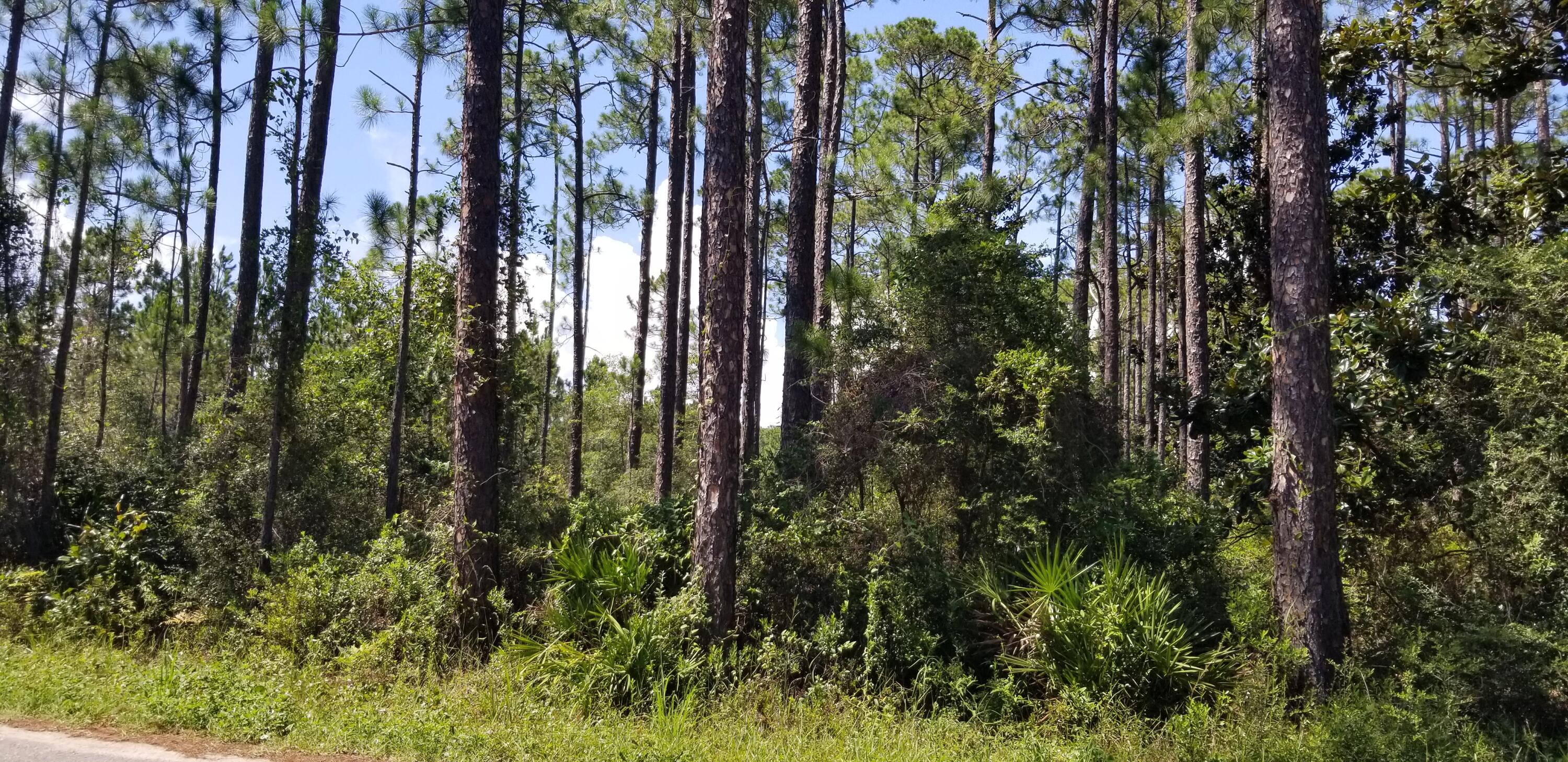 SANTA ROSA PLANTATION - Land