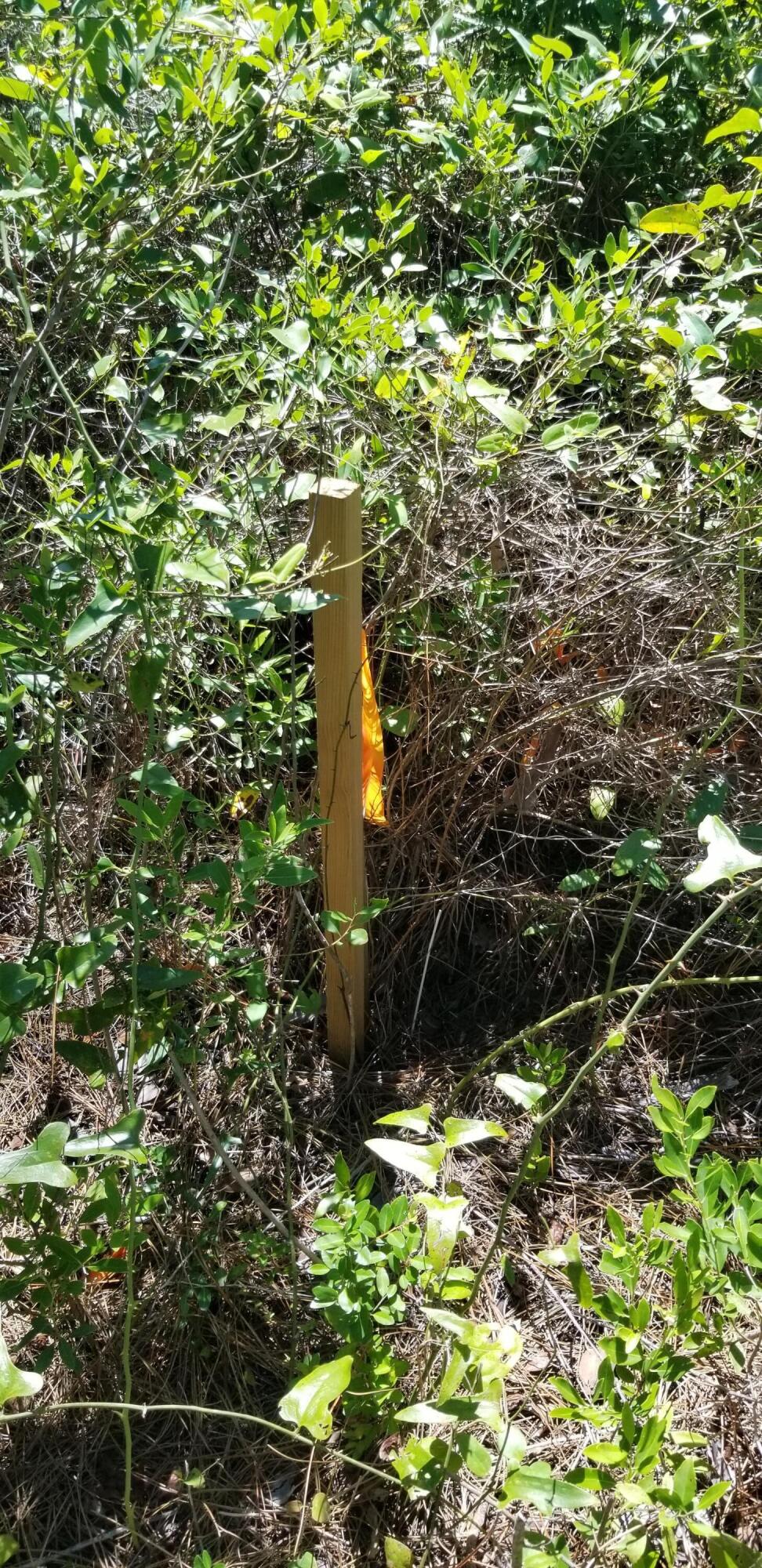 SANTA ROSA PLANTATION - Land