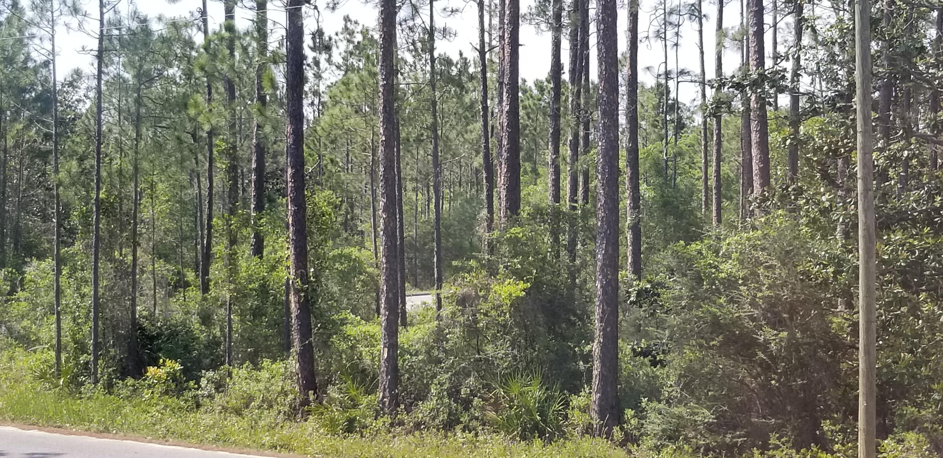 SANTA ROSA PLANTATION - Land