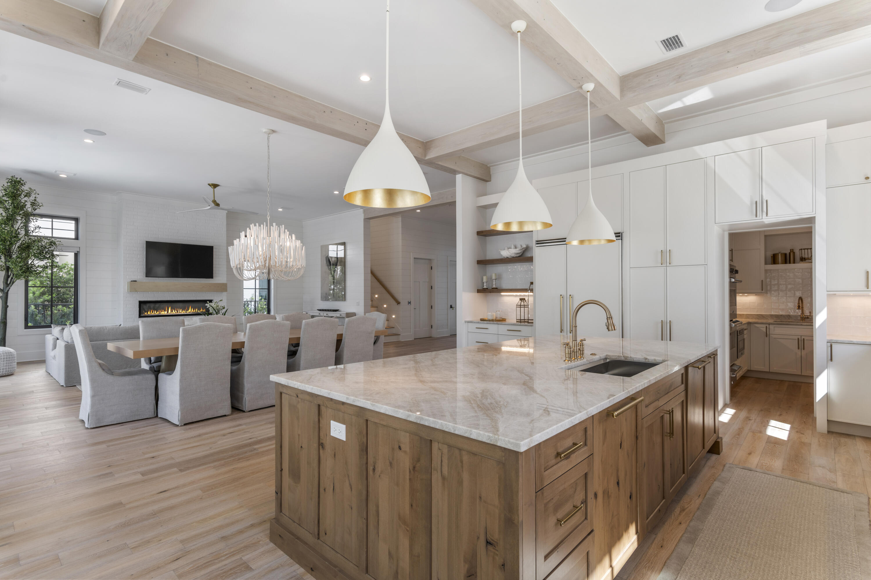 INLET BEACH - Residential