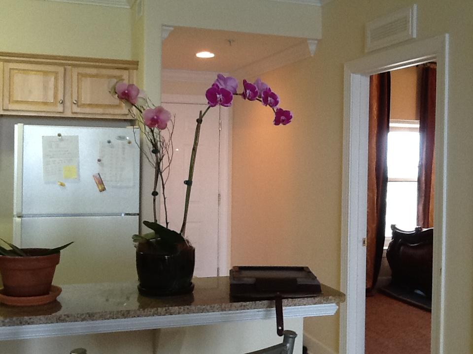 TROPIC WINDS - Residential