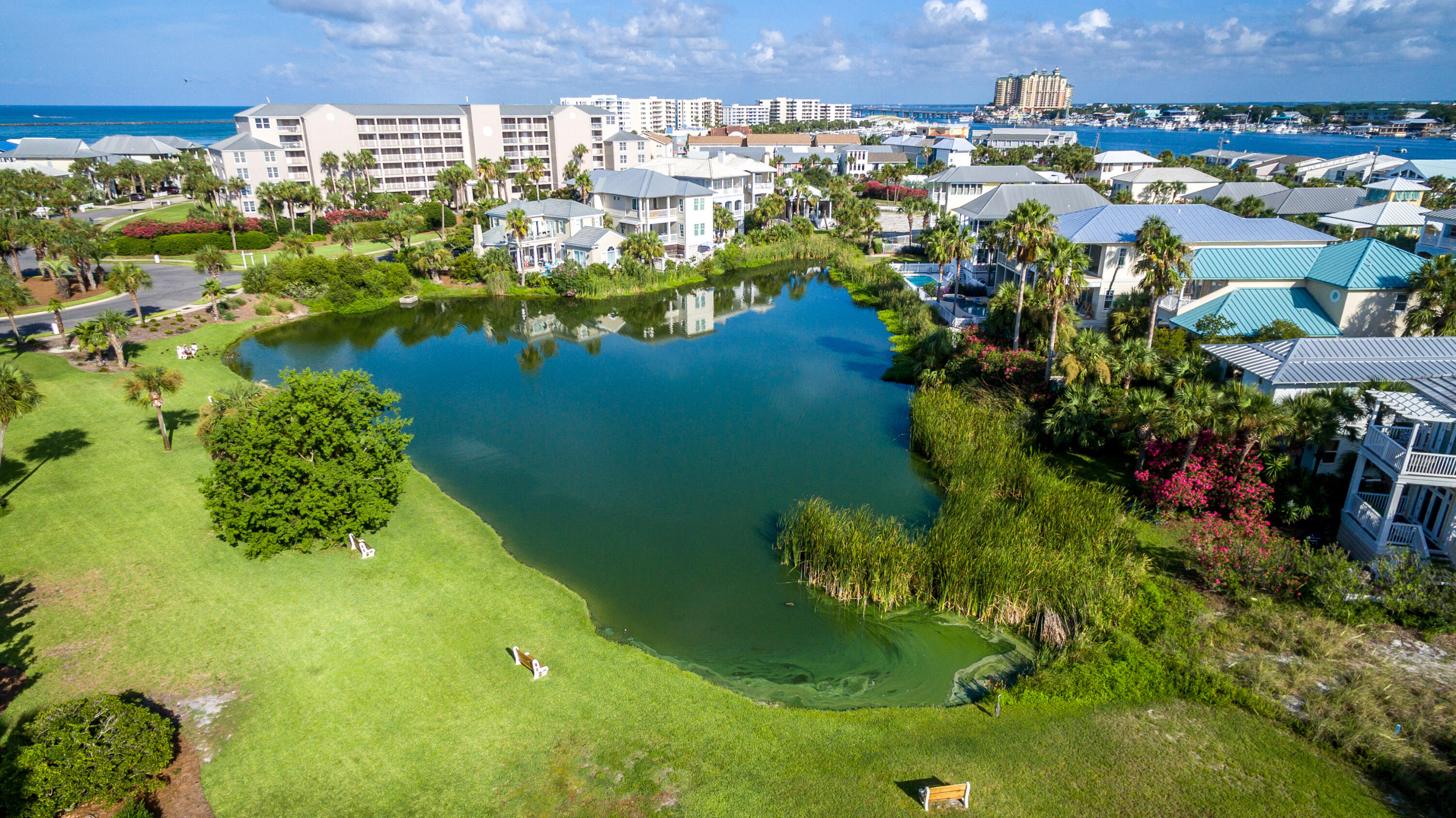 MAGNOLIA HOUSE - Residential