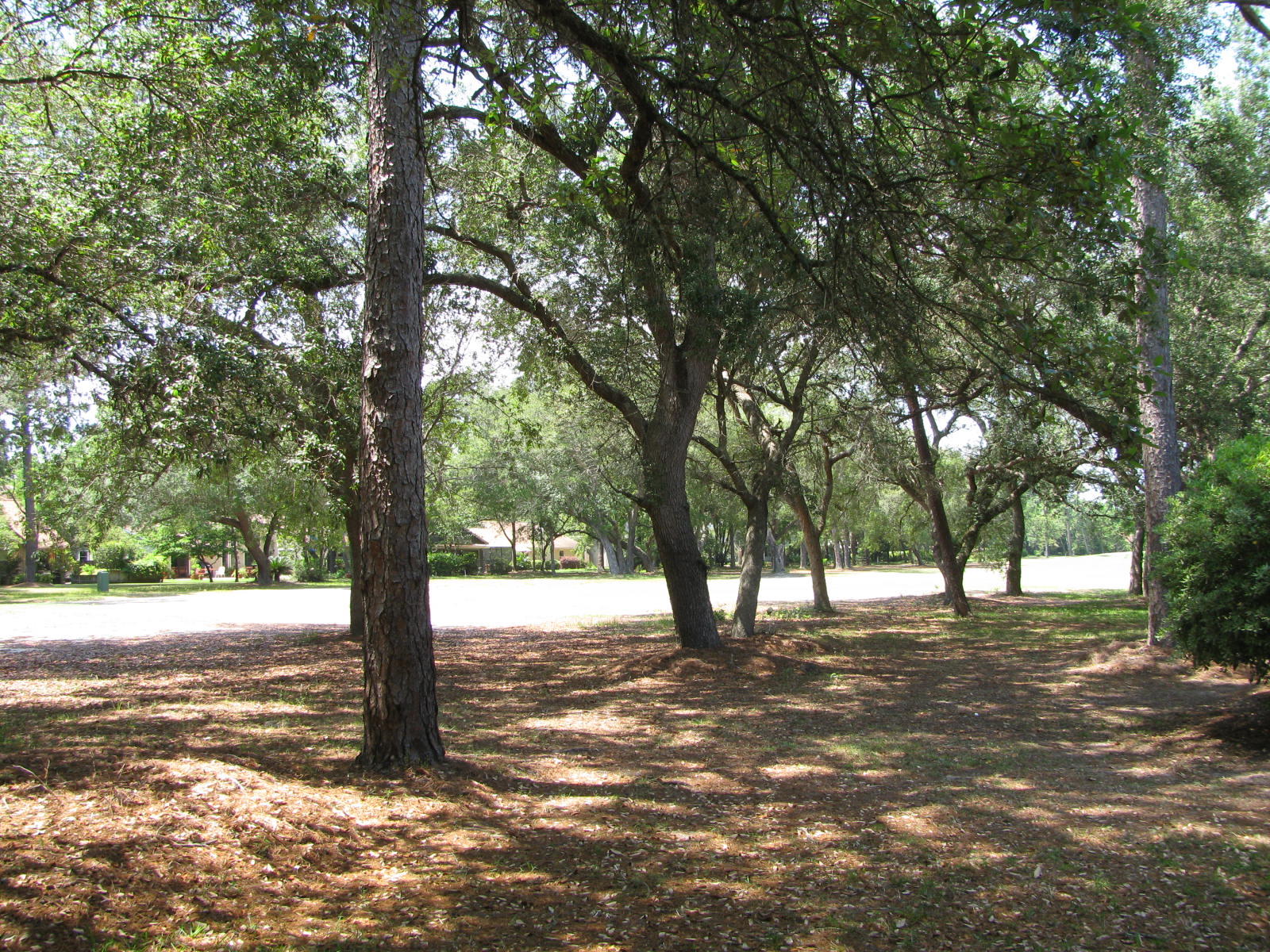 ST ANDREWS SOUTH BLUEWATER BAY 1 - Residential