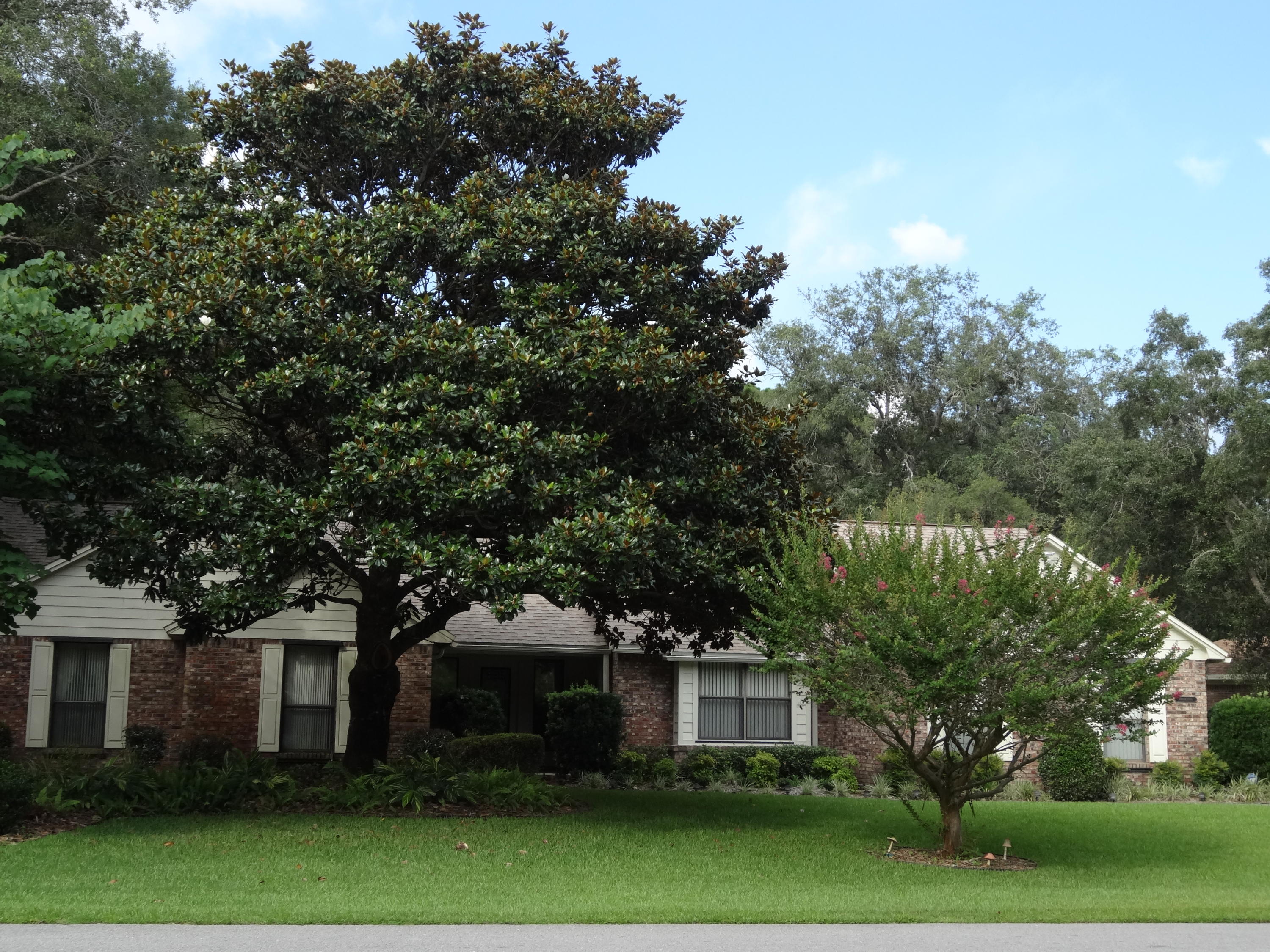 ST ANDREWS VILLAGE SOUTH 2 - Residential