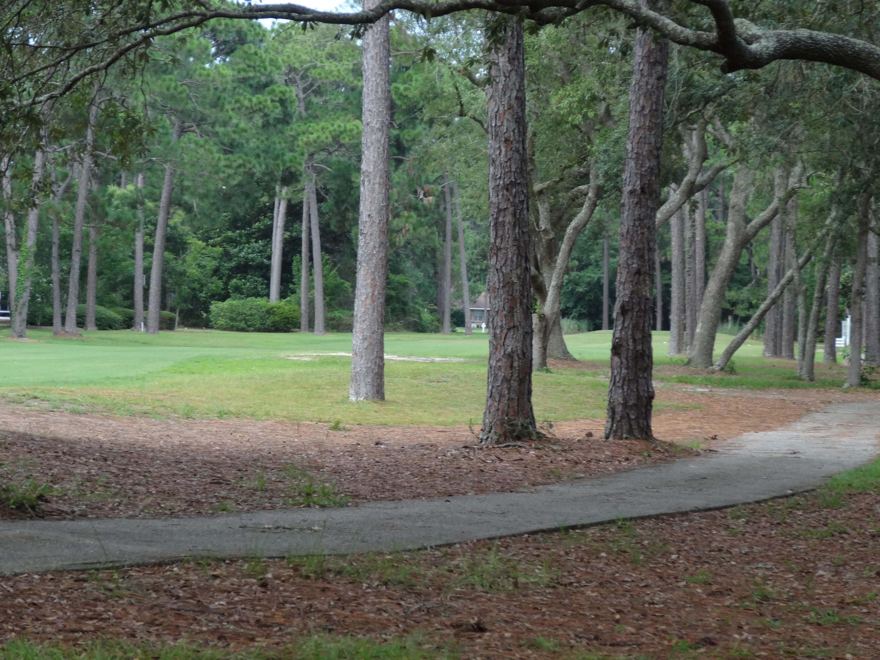 ST ANDREWS VILLAGE SOUTH 2 - Residential