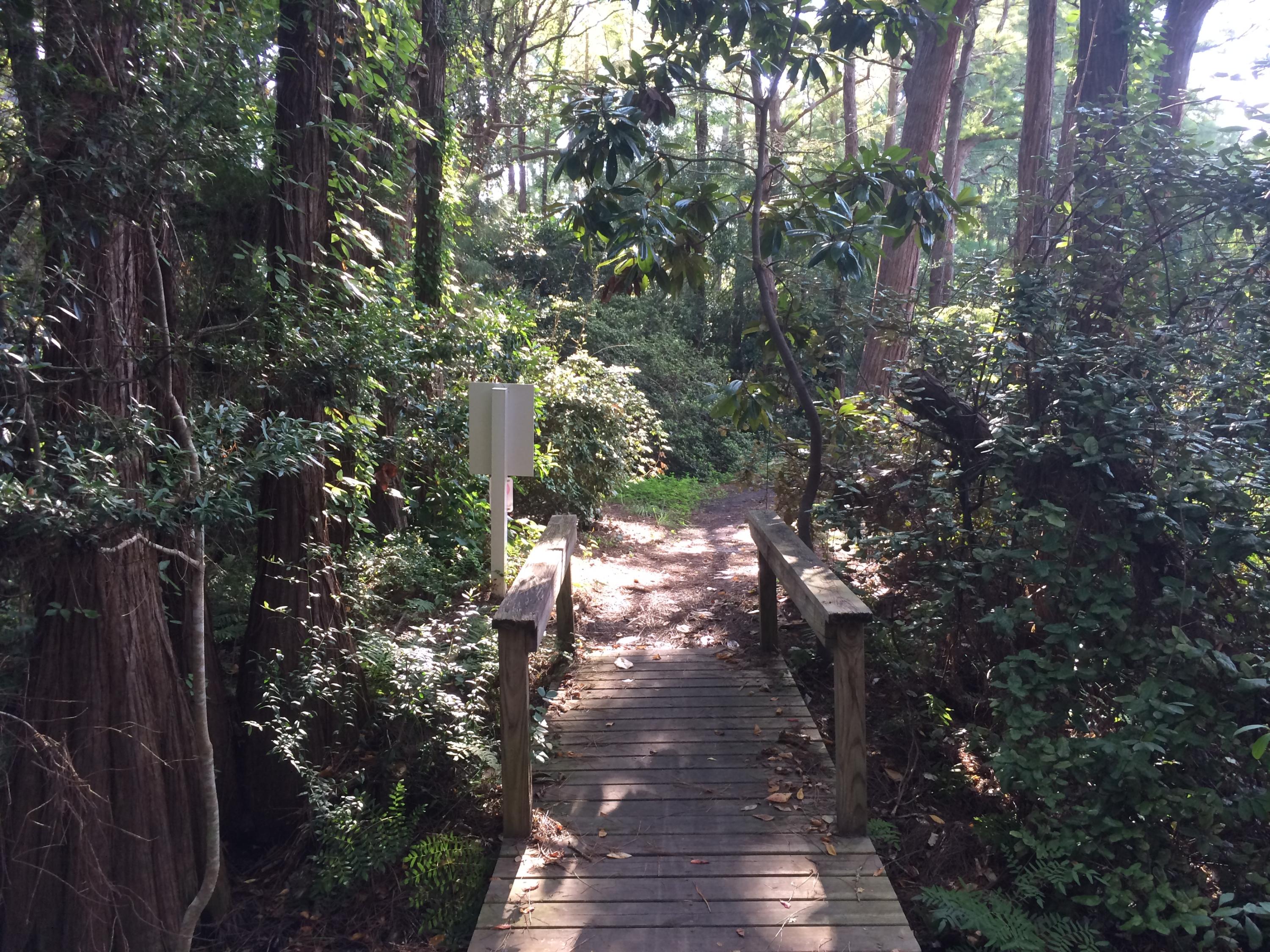 CASSINE GARDENS T/H PH 3 - Residential