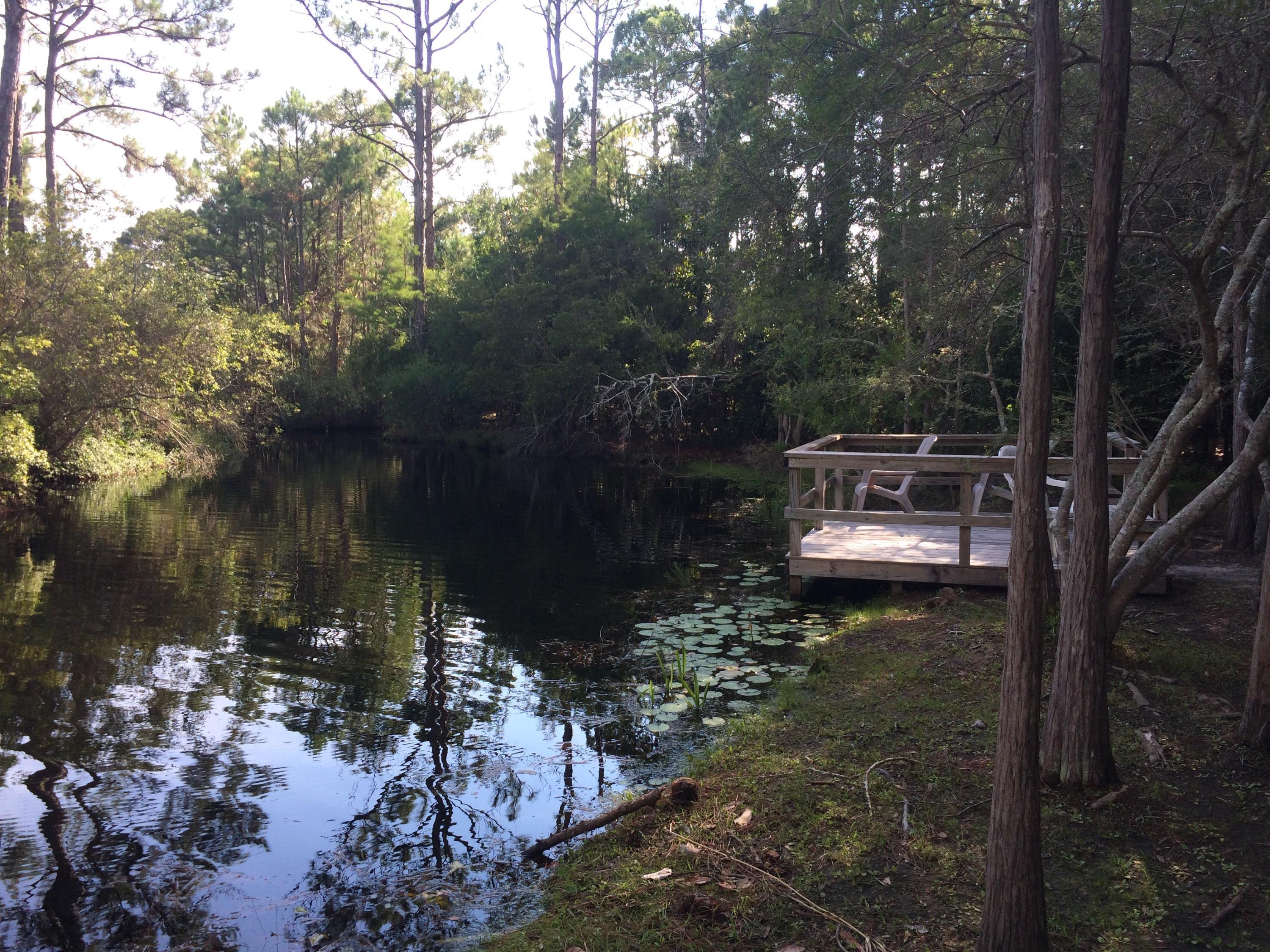 CASSINE GARDENS T/H PH 3 - Residential
