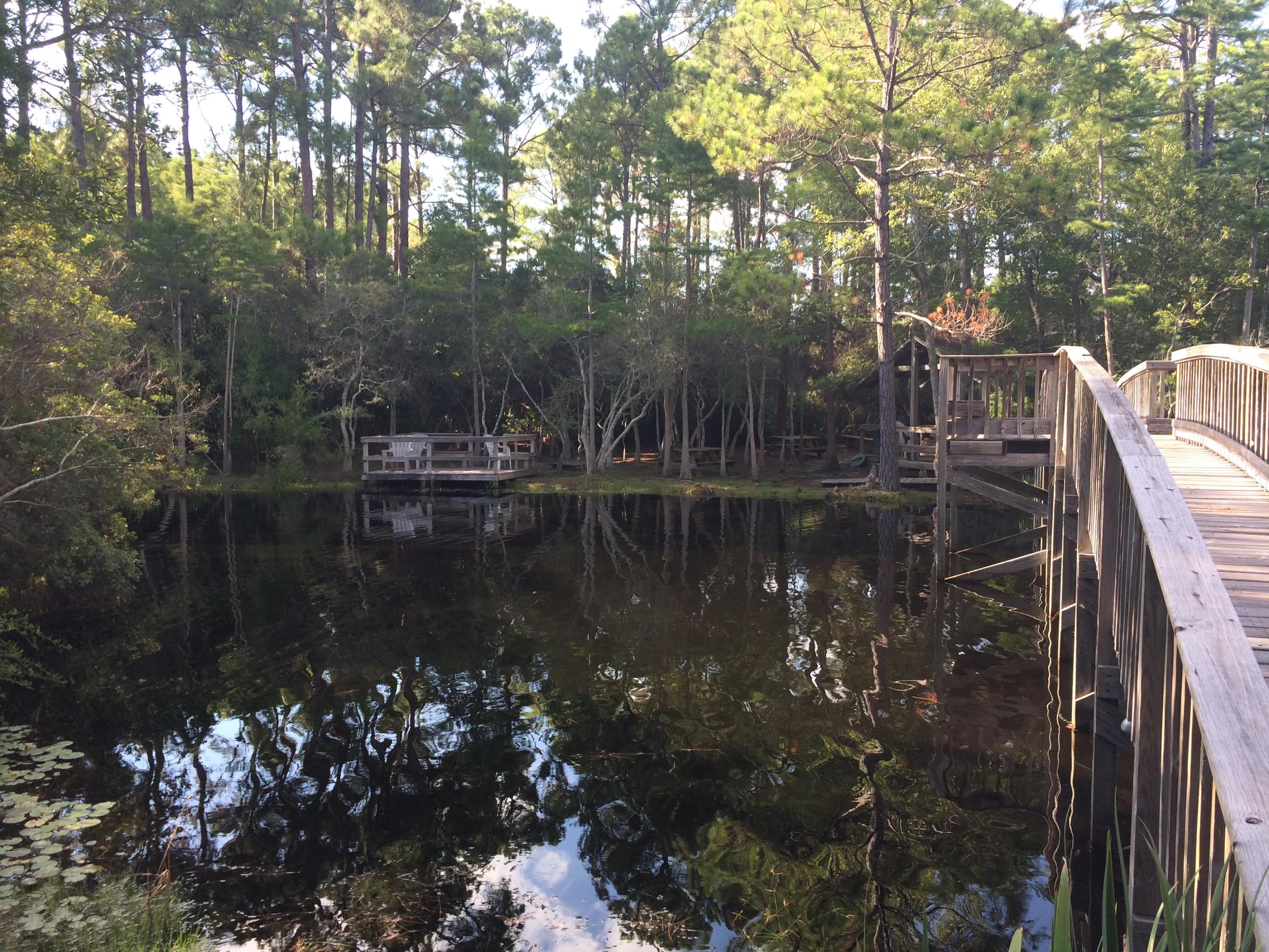 CASSINE GARDENS T/H PH 3 - Residential
