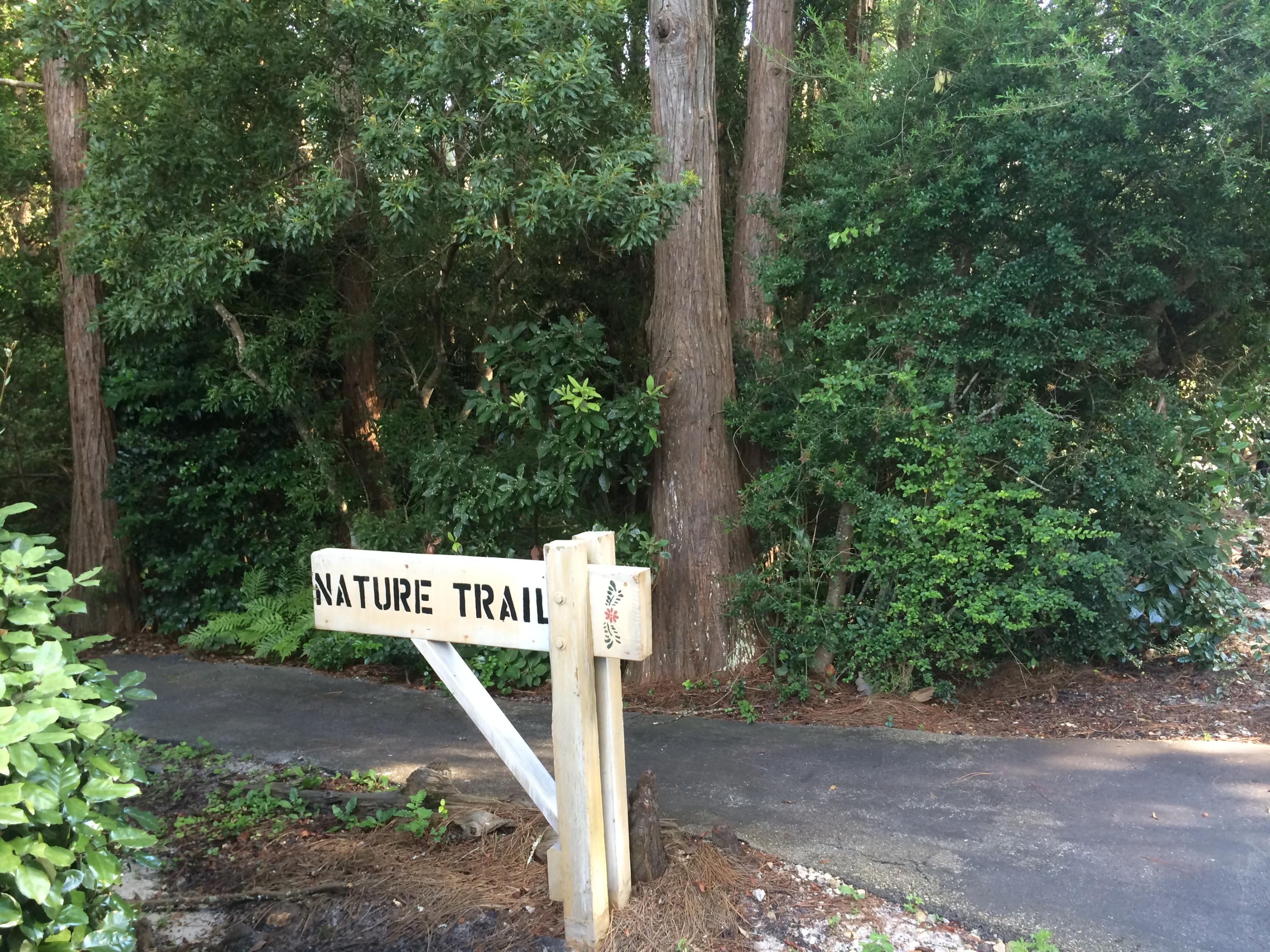 CASSINE GARDENS T/H PH 3 - Residential