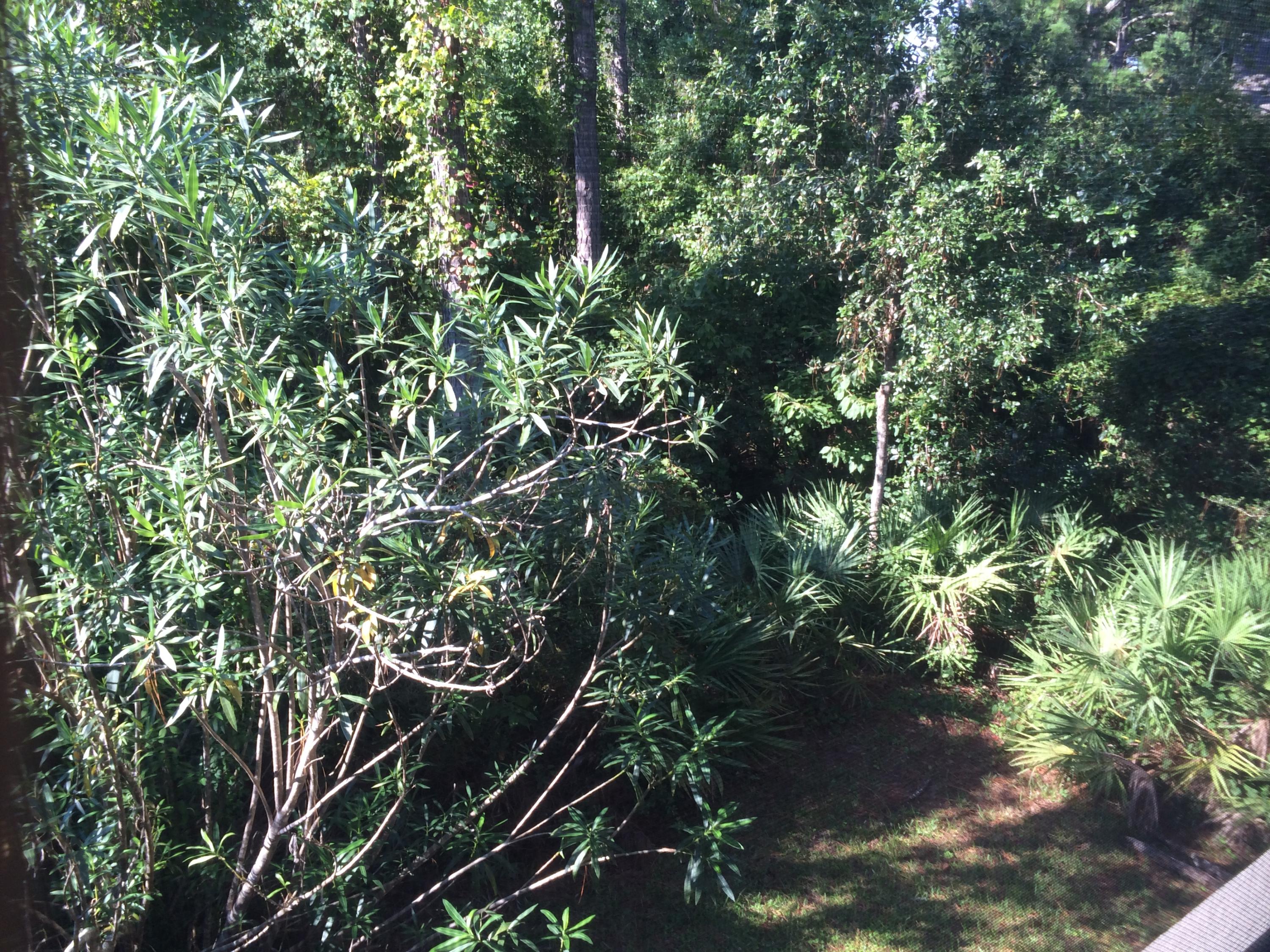 CASSINE GARDENS T/H PH 3 - Residential