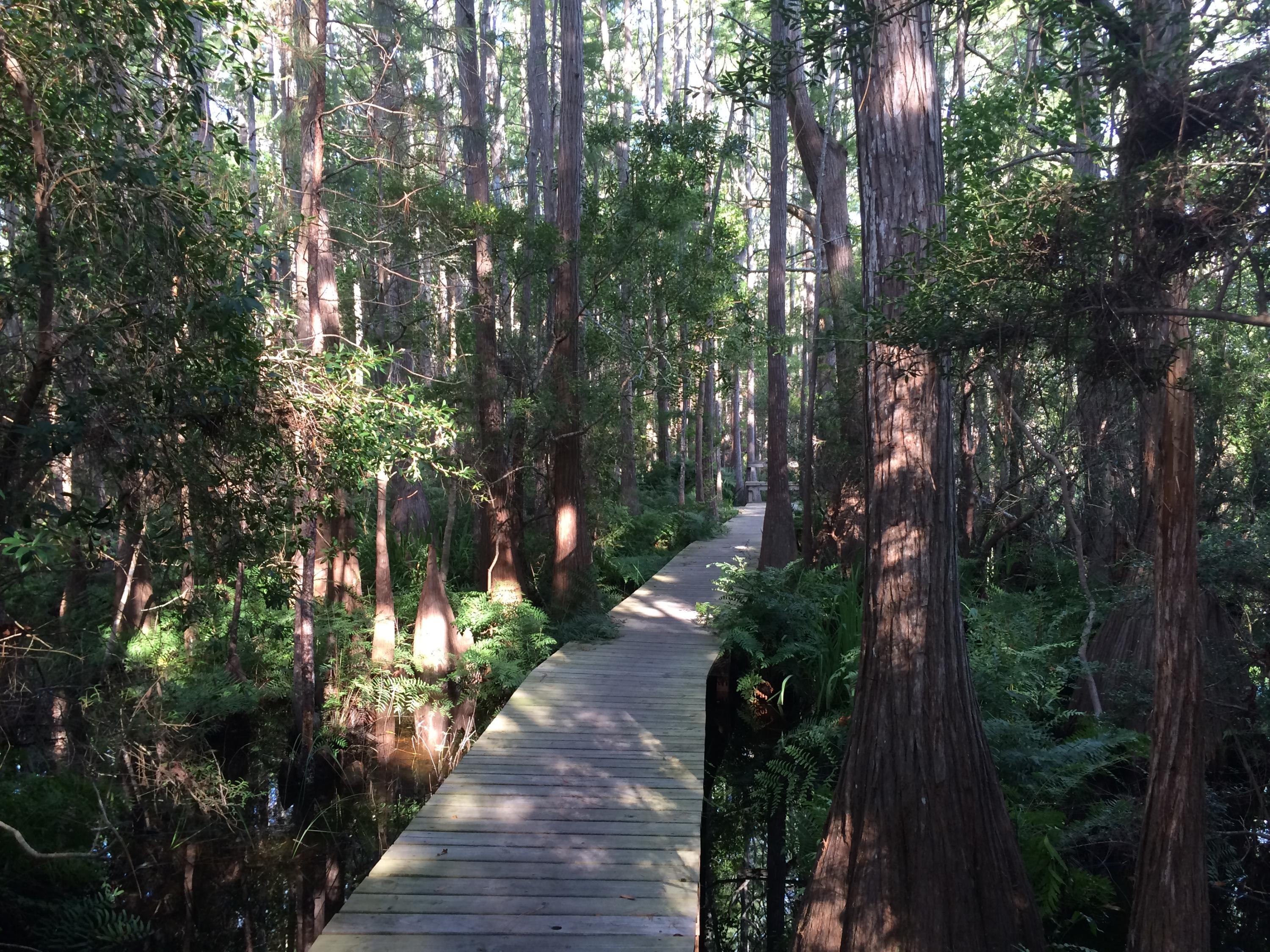 CASSINE GARDENS T/H PH 3 - Residential