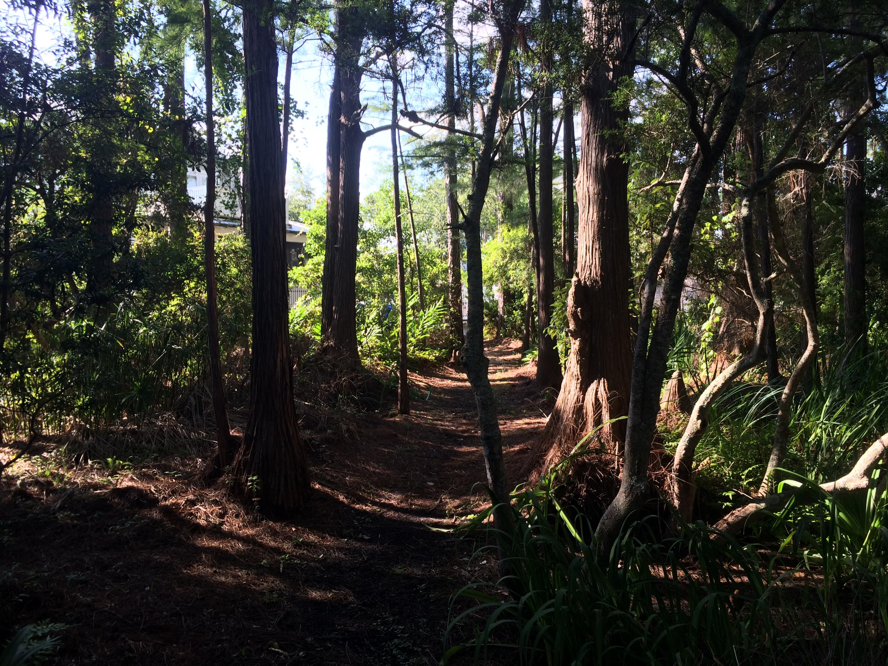 CASSINE GARDENS T/H PH 3 - Residential
