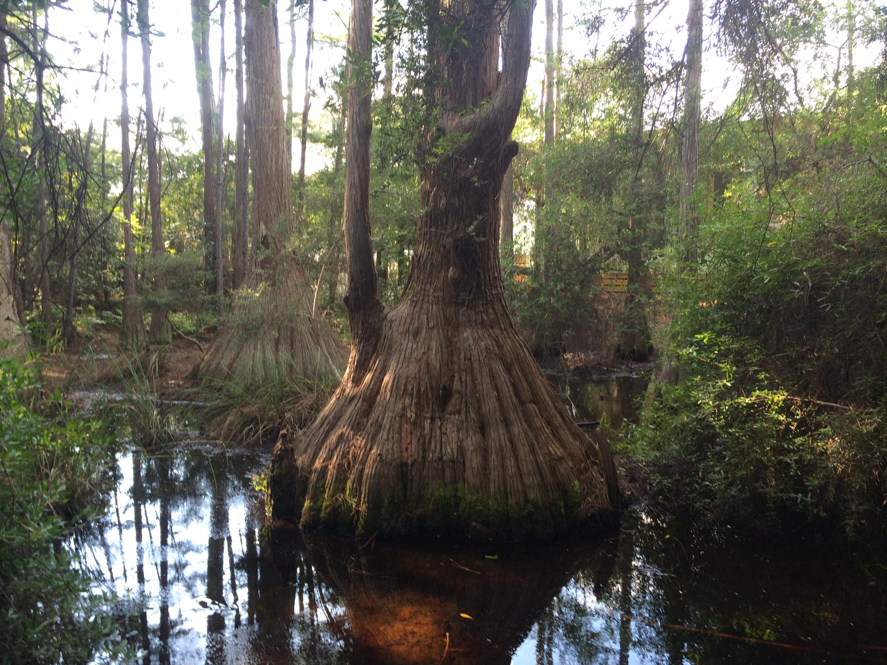 CASSINE GARDENS T/H PH 3 - Residential