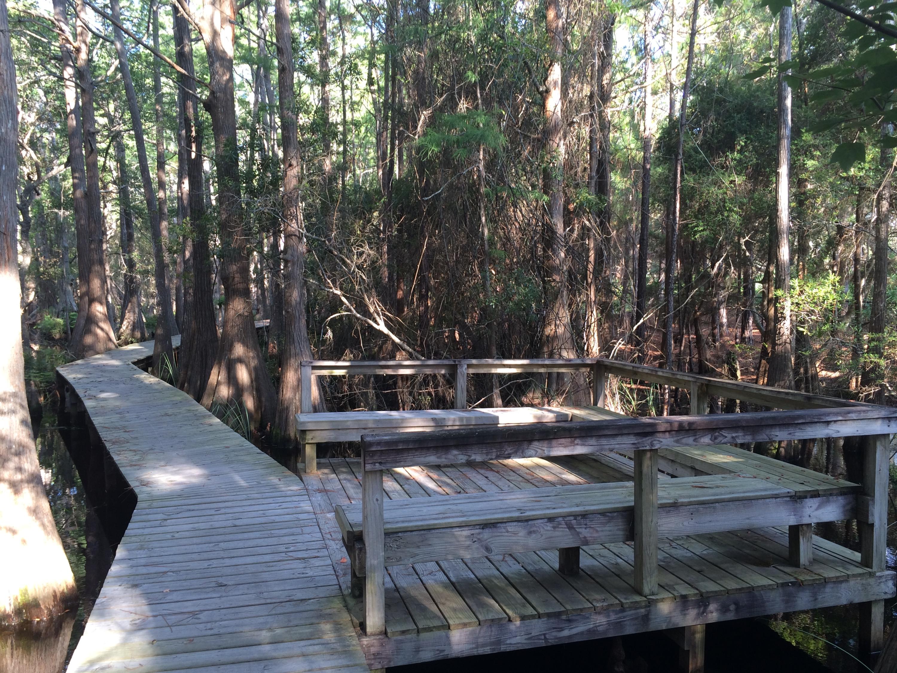 CASSINE GARDENS T/H PH 3 - Residential