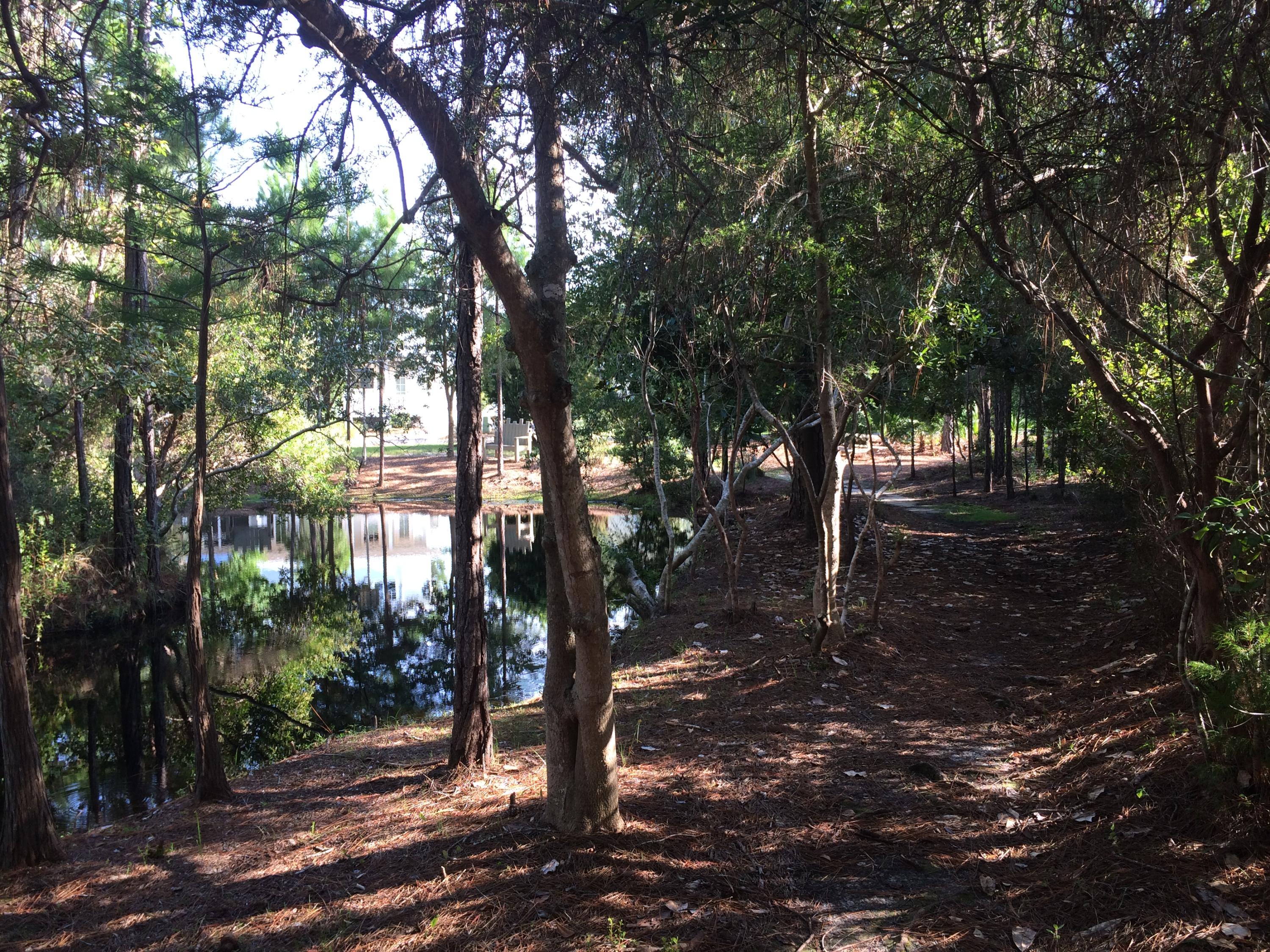 CASSINE GARDENS T/H PH 3 - Residential