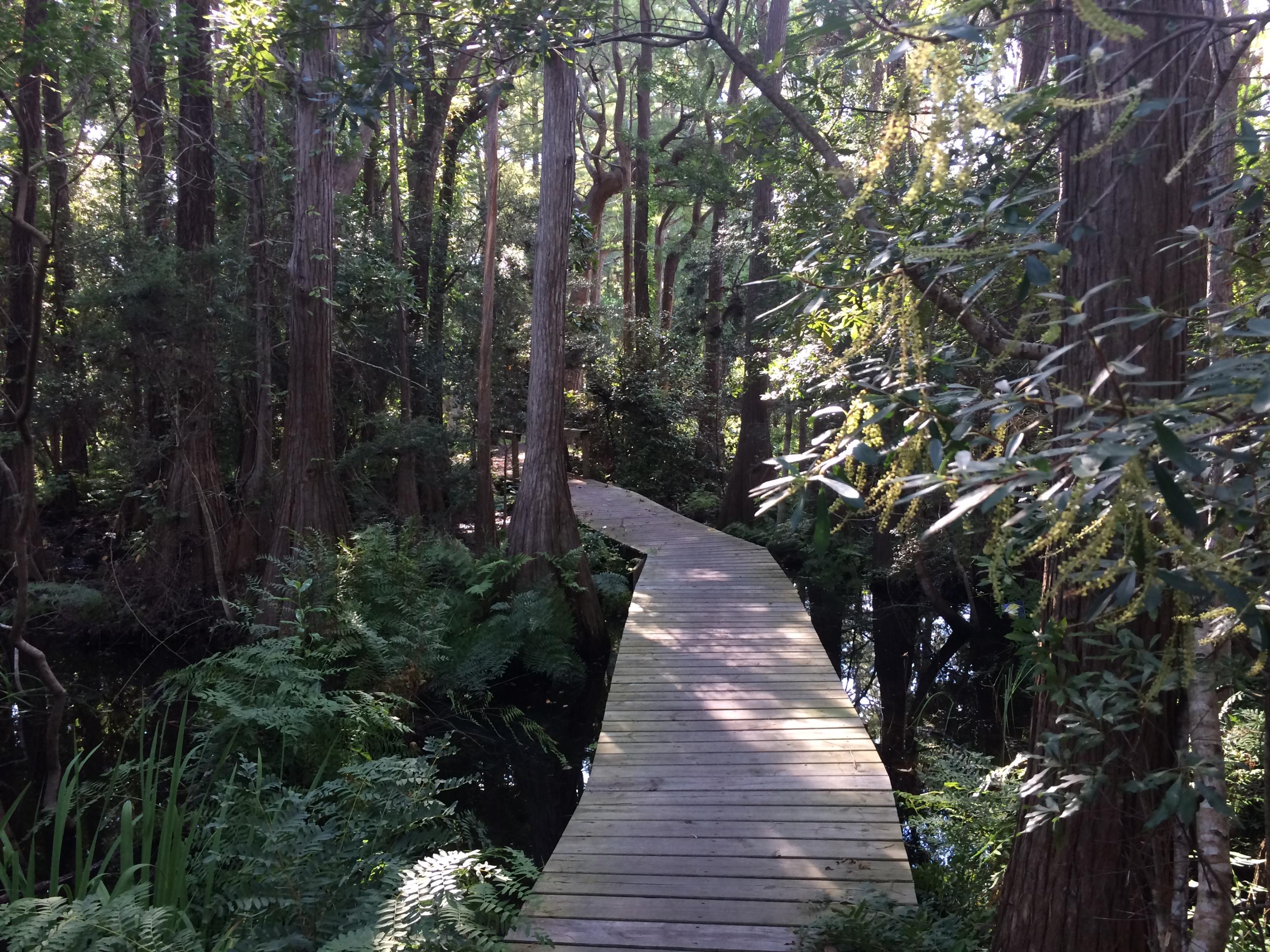 CASSINE GARDENS T/H PH 3 - Residential