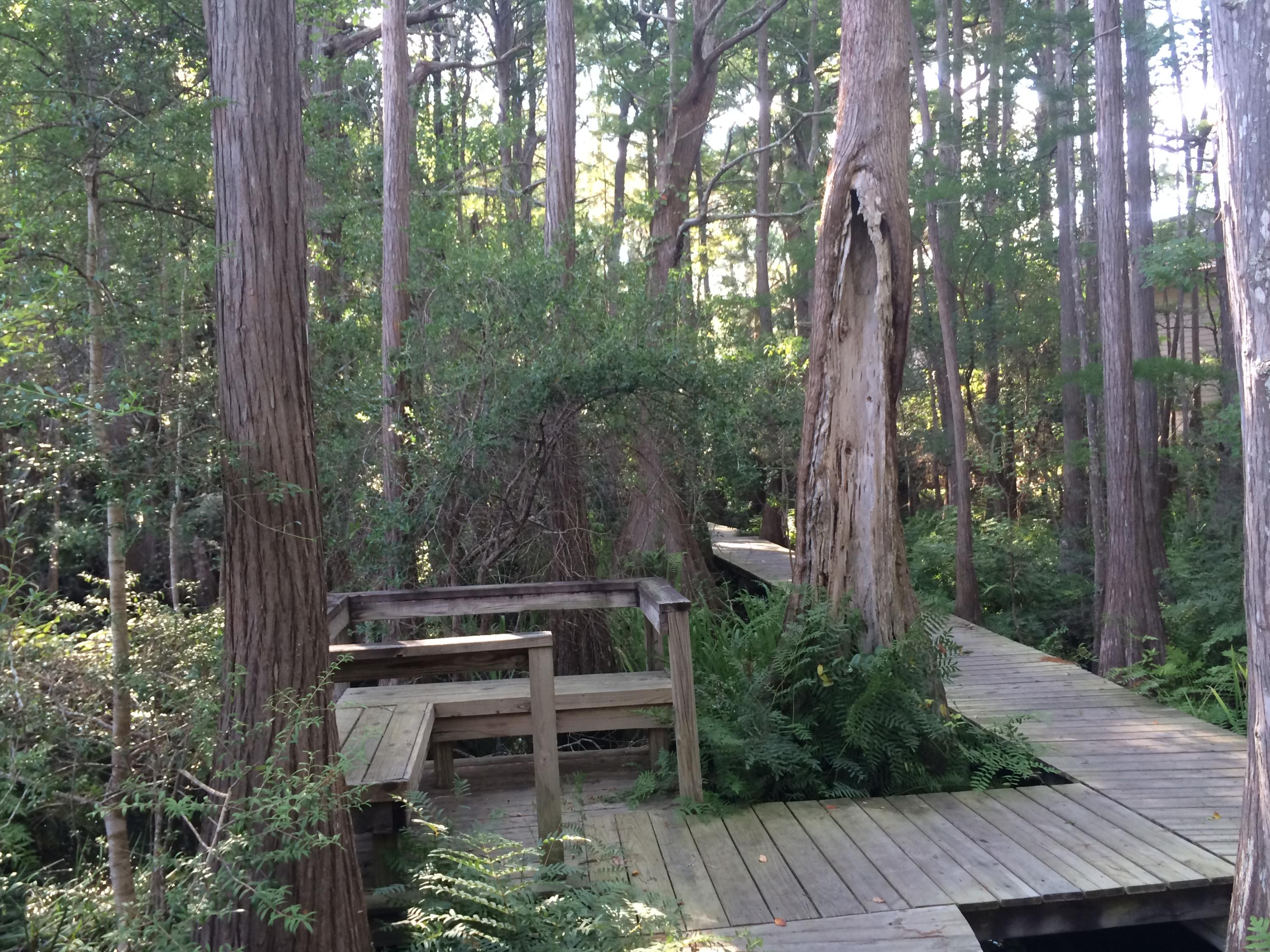 CASSINE GARDENS T/H PH 3 - Residential