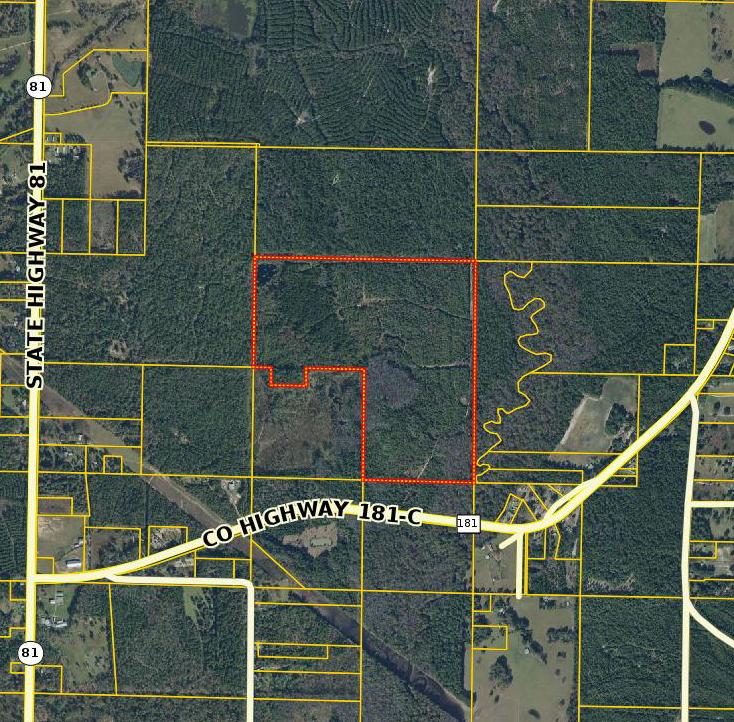 Priced to sell! Perfect recreational property for a hunting camp, 4 wheeling, or camping. 120 acres of beautiful land near Morrison Springs, one of the most well known diving and swimming spots in northwest Florida. The county recently added new amenities to this park, including a boat ramp, picnic pavilion, and restrooms. If you love the outdoors, this property is for you.