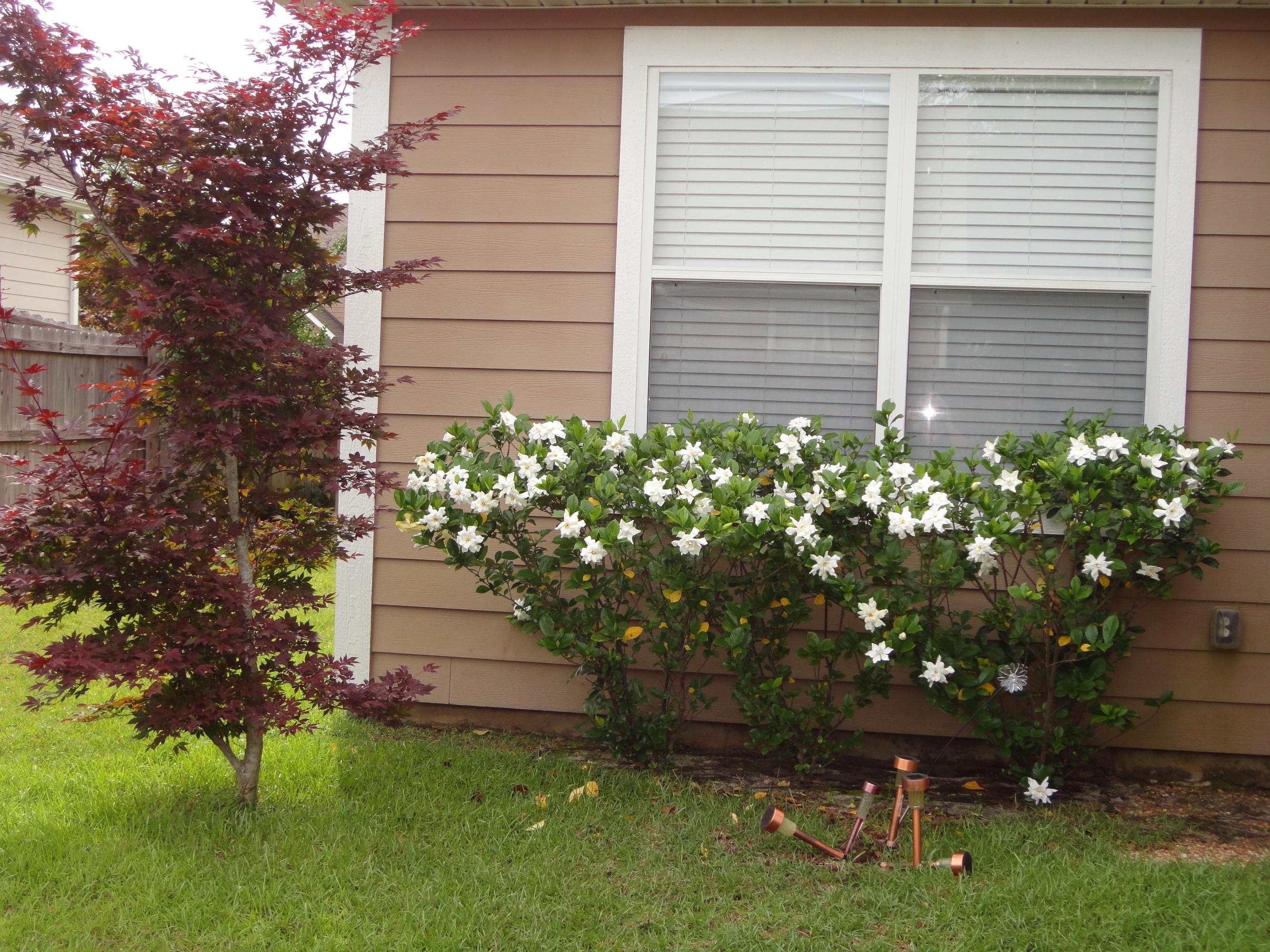 ROLLING RIDGE - Residential